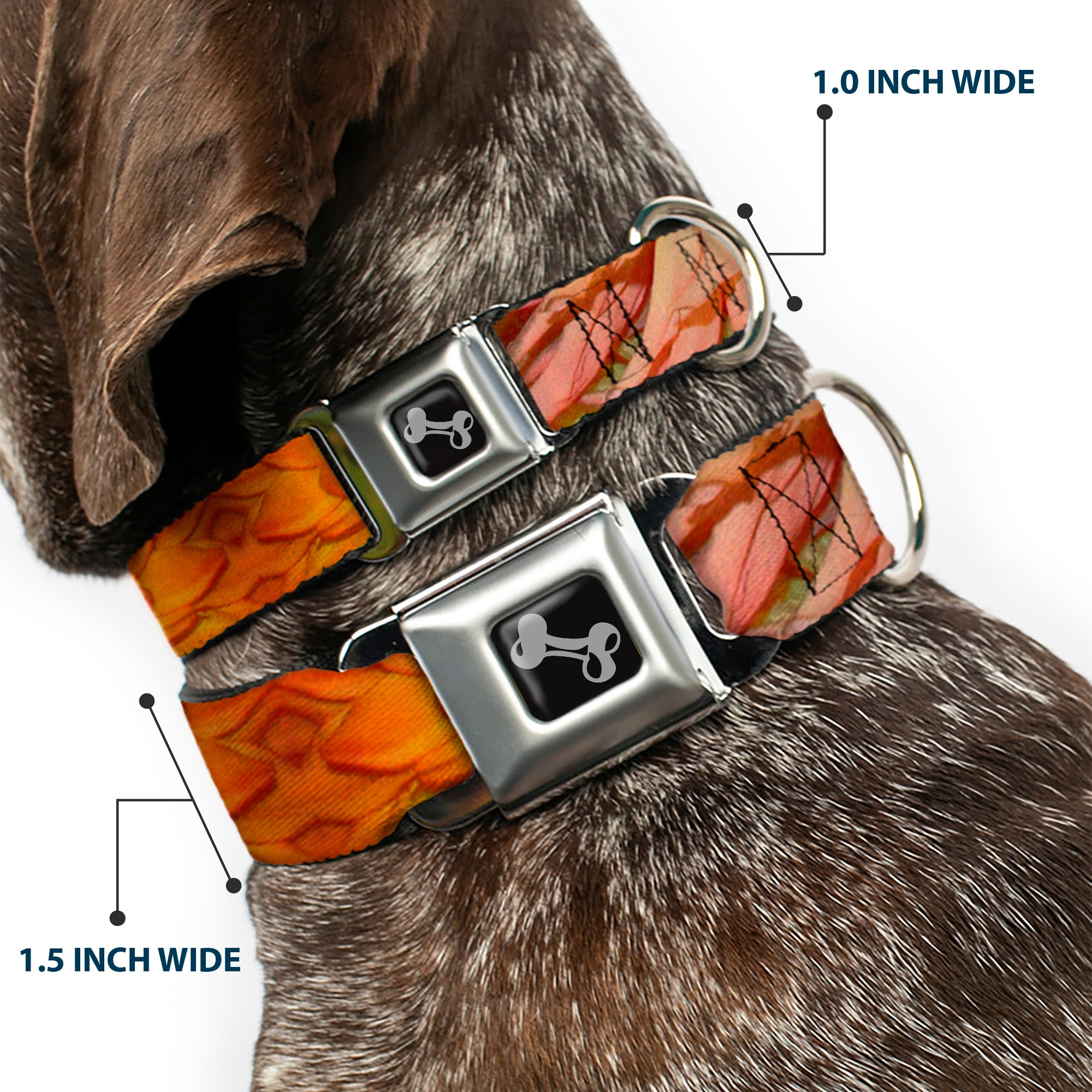 Dog Bone Seatbelt Buckle Collar - Vivid Floral Collage Orange-Pinks Seatbelt Buckle Collars Buckle-Down