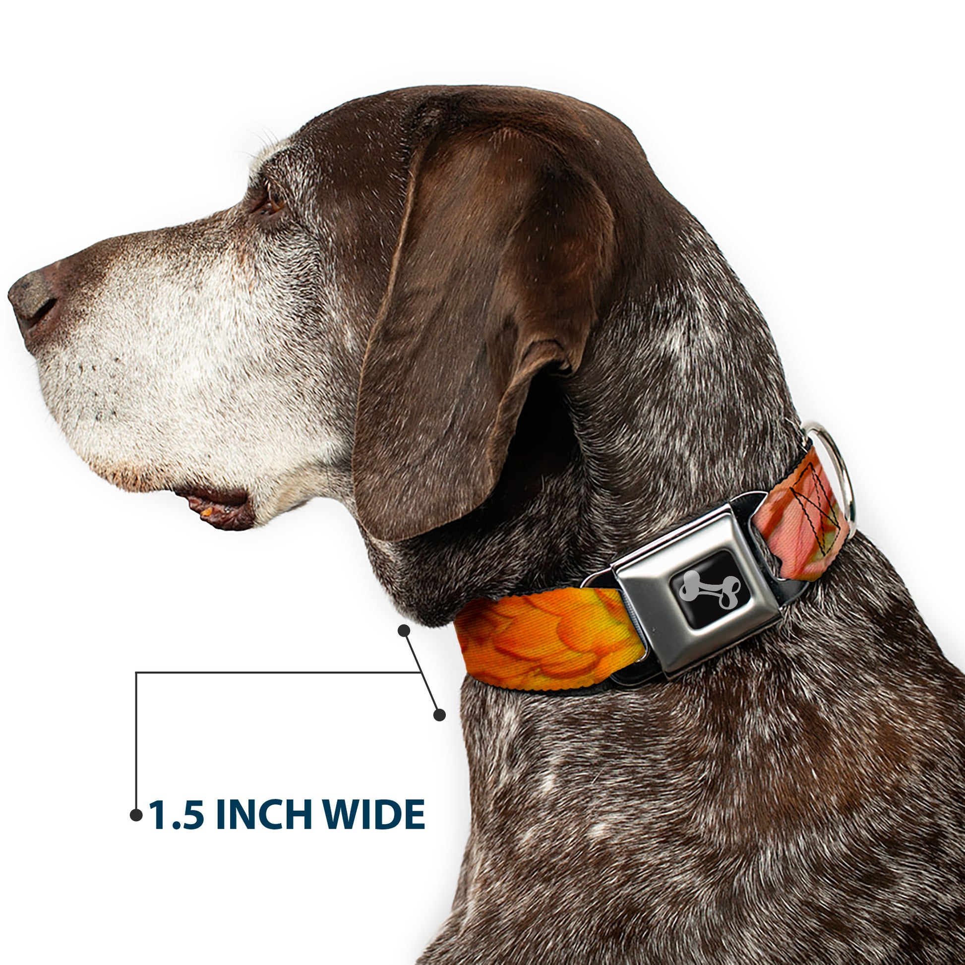 Dog Bone Seatbelt Buckle Collar - Vivid Floral Collage Orange-Pinks Seatbelt Buckle Collars Buckle-Down