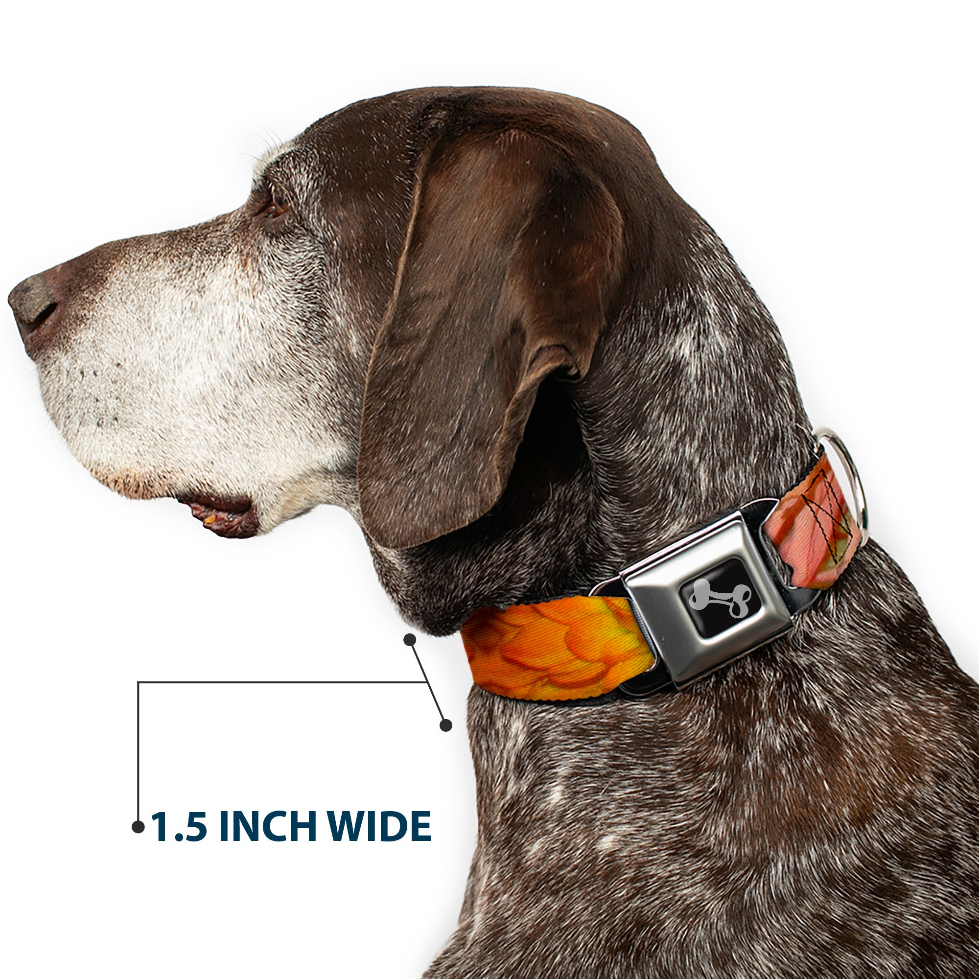 Dog Bone Seatbelt Buckle Collar - Vivid Floral Collage Orange-Pinks Seatbelt Buckle Collars Buckle-Down