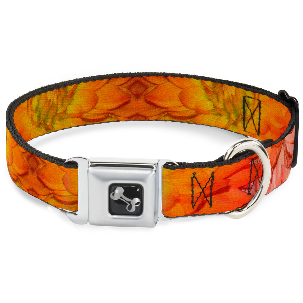 Dog Bone Seatbelt Buckle Collar - Vivid Floral Collage Orange-Pinks Seatbelt Buckle Collars Buckle-Down
