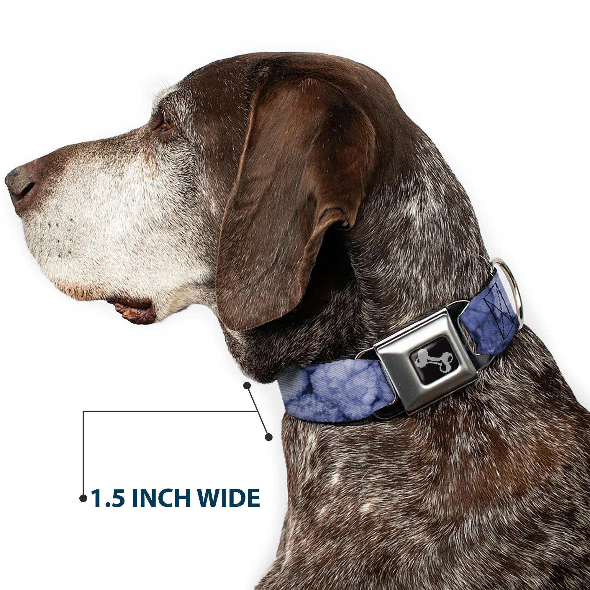 Dog Bone Seatbelt Buckle Collar - Vivid Floral Collage2 Blues Seatbelt Buckle Collars Buckle-Down