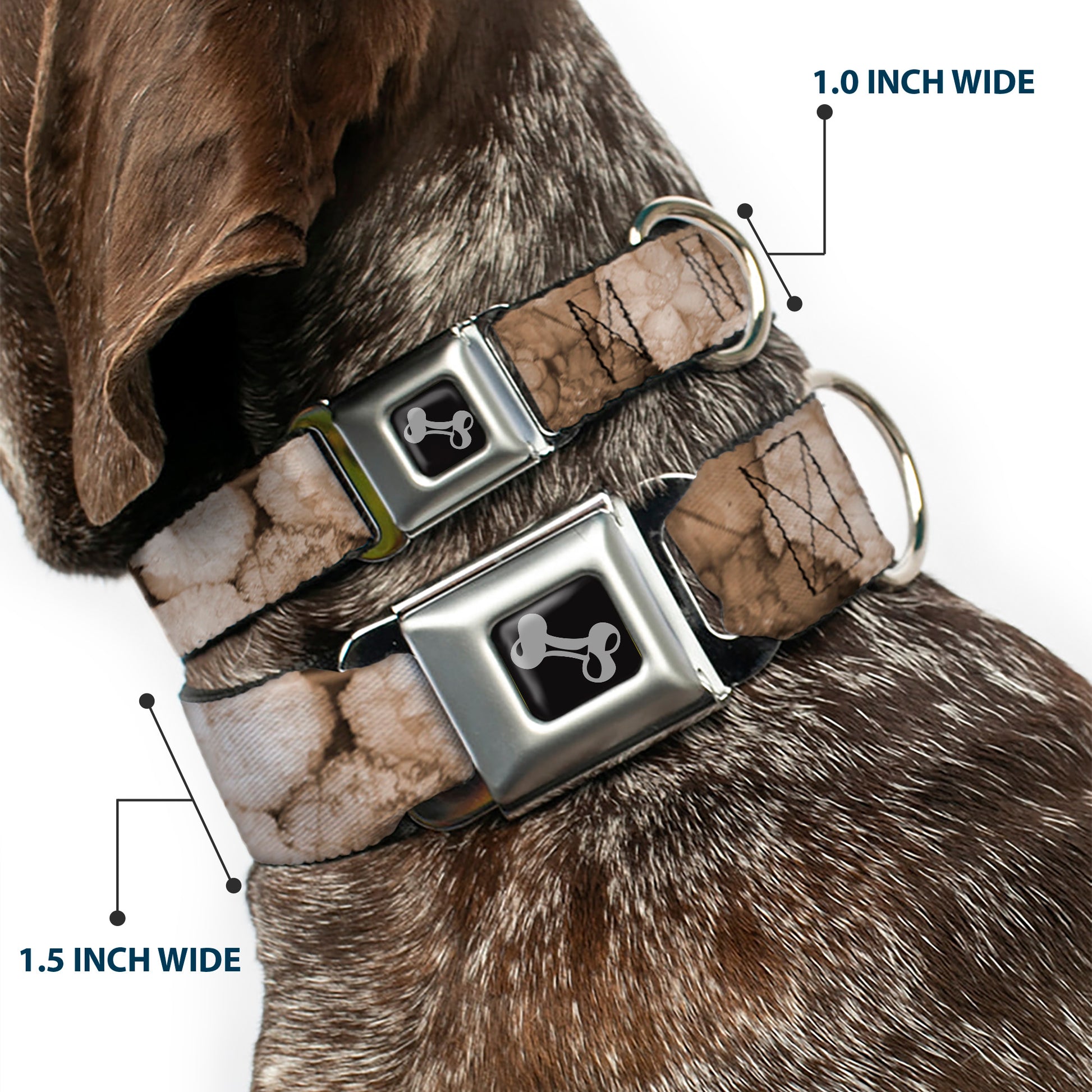Dog Bone Seatbelt Buckle Collar - Vivid Floral Collage2 Sepia Seatbelt Buckle Collars Buckle-Down