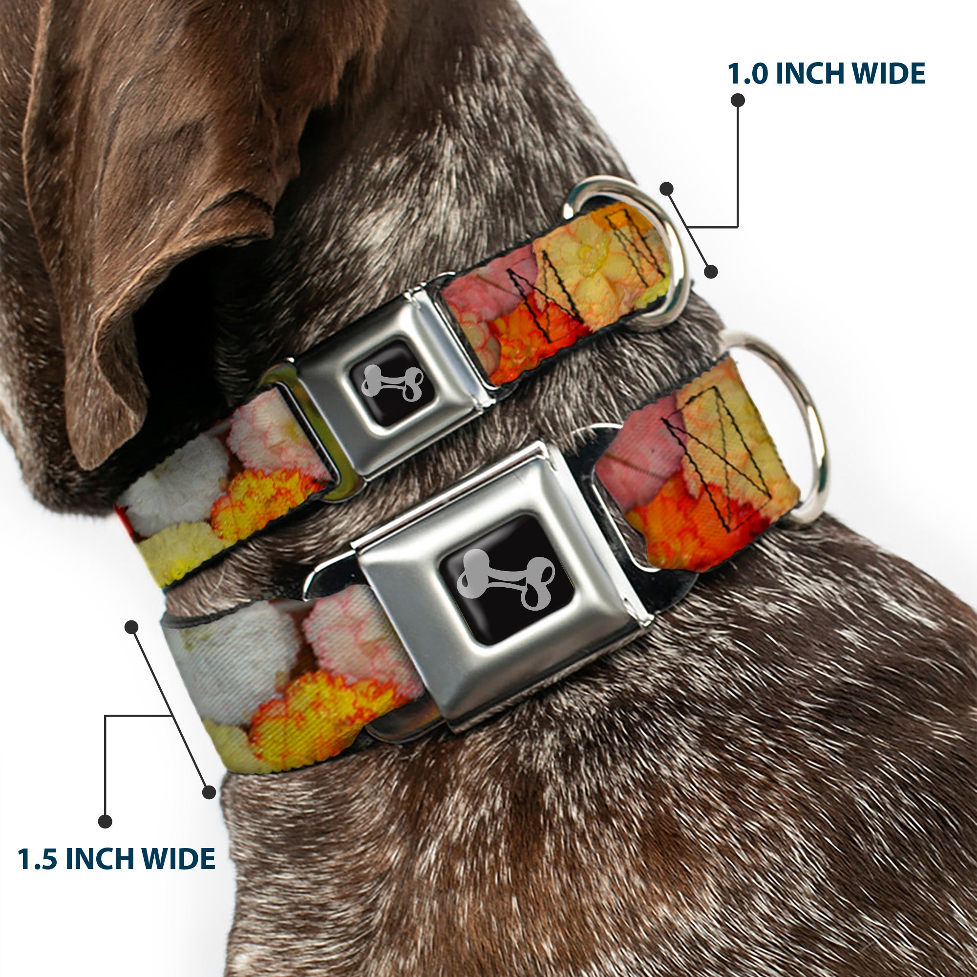 Dog Bone Seatbelt Buckle Collar - Vivid Floral Collage2 Yellows/Pinks/Oranges Seatbelt Buckle Collars Buckle-Down