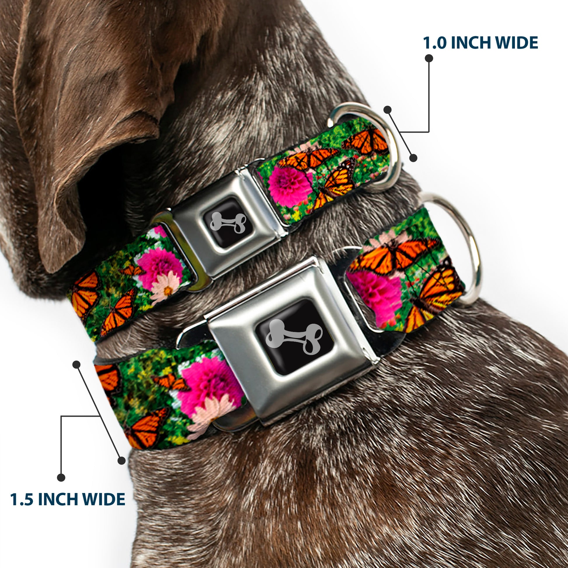 Dog Bone Seatbelt Buckle Collar - Vivid Monarch Butterfly Garden Seatbelt Buckle Collars Buckle-Down