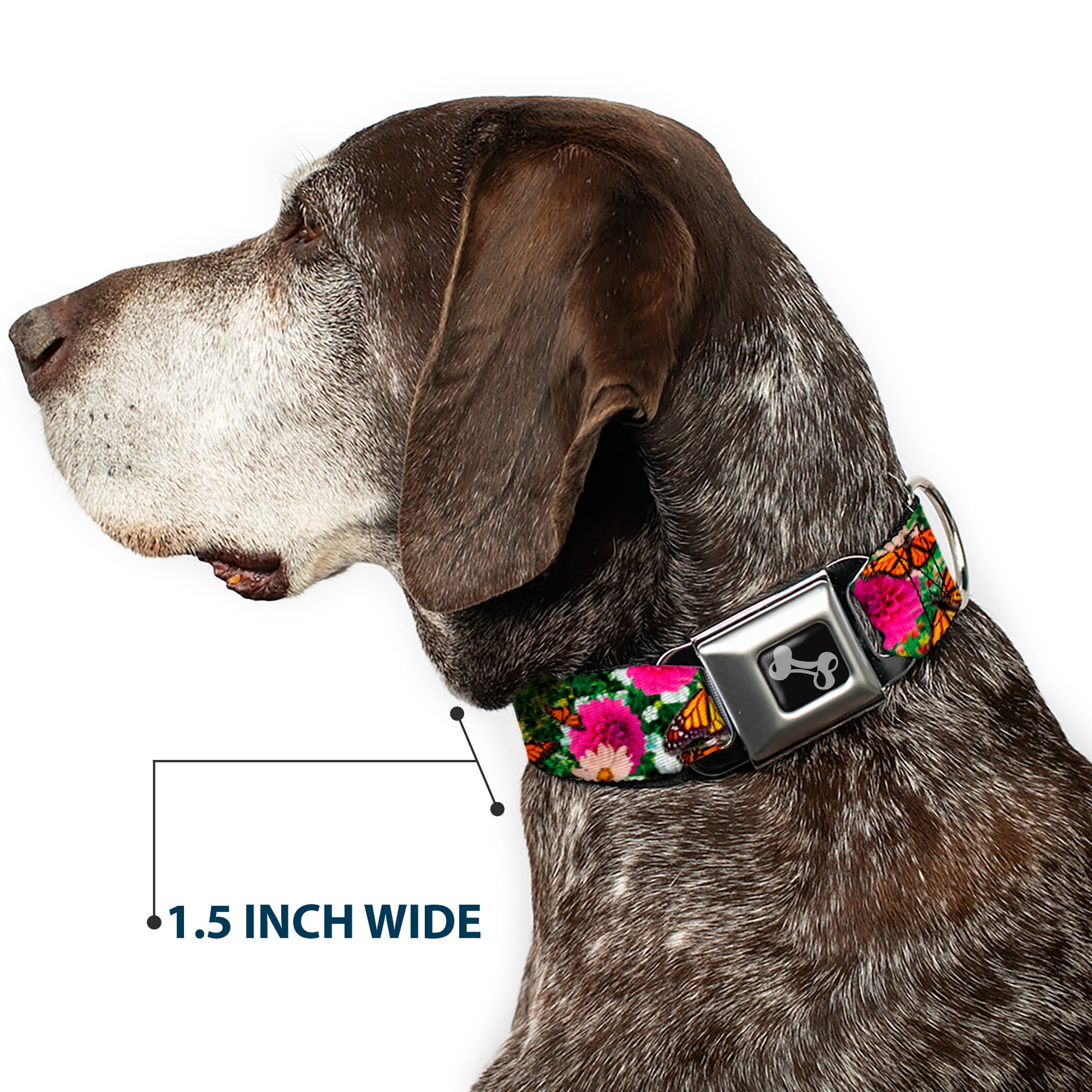 Dog Bone Seatbelt Buckle Collar - Vivid Monarch Butterfly Garden Seatbelt Buckle Collars Buckle-Down