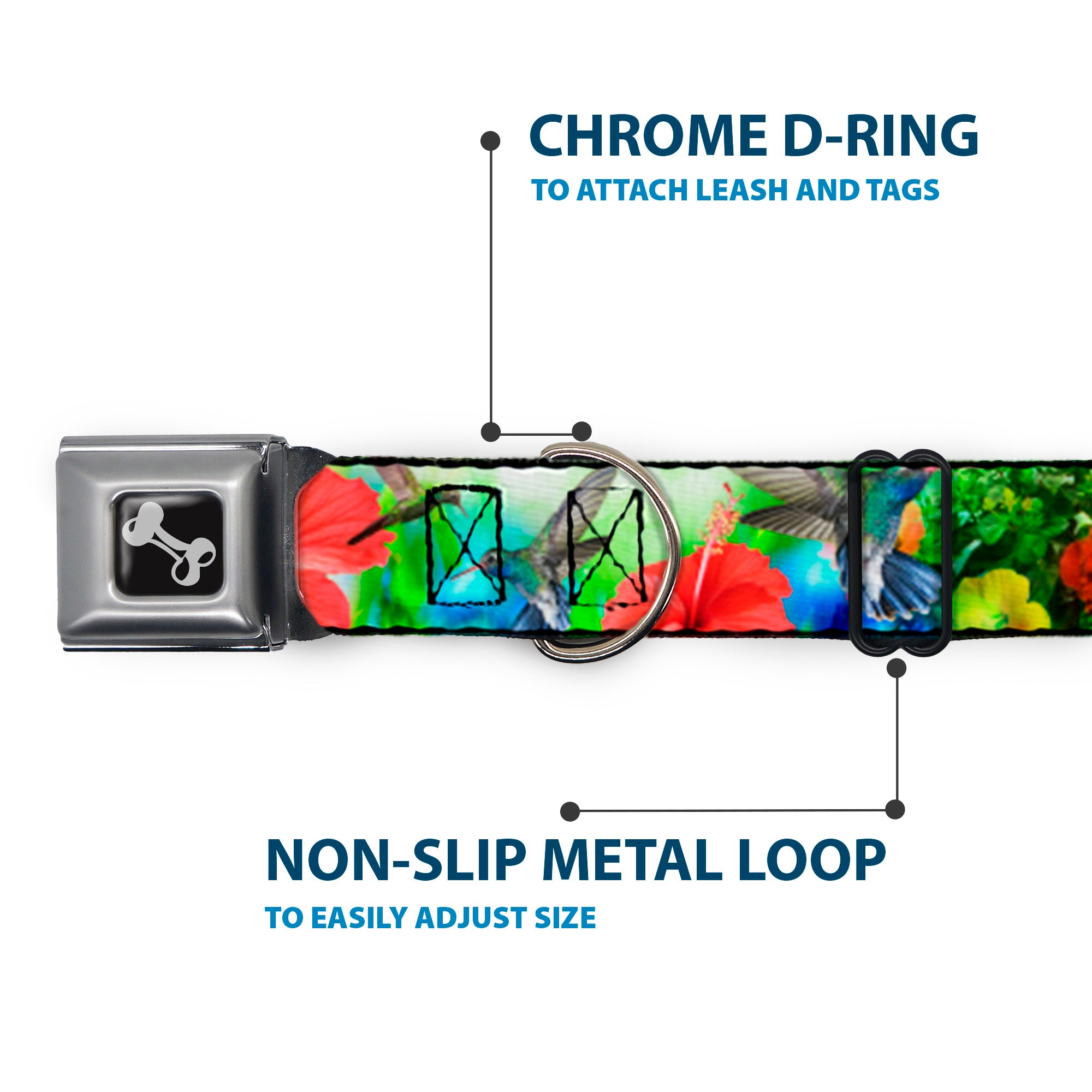 Dog Bone Seatbelt Buckle Collar - Vivid Hummingbird Garden Seatbelt Buckle Collars Buckle-Down
