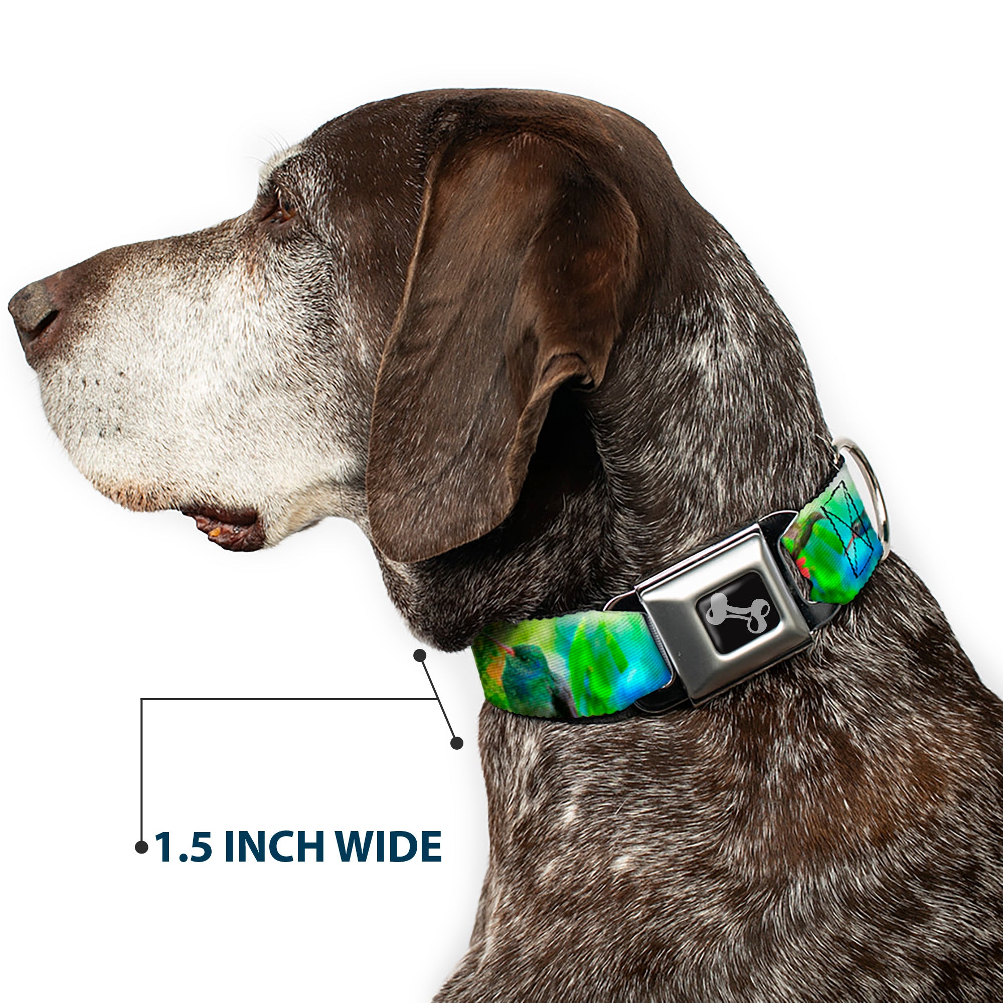 Dog Bone Seatbelt Buckle Collar - Vivid Hummingbird Garden Seatbelt Buckle Collars Buckle-Down