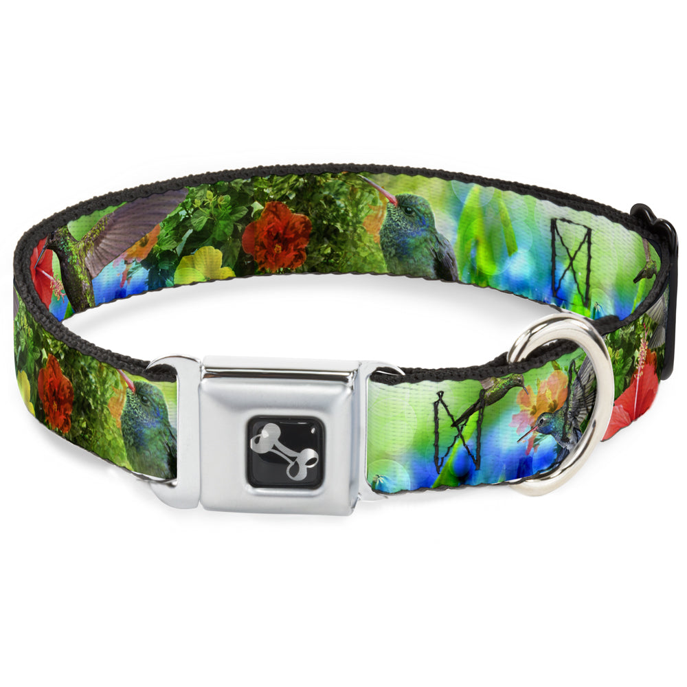 Dog Bone Seatbelt Buckle Collar - Vivid Hummingbird Garden Seatbelt Buckle Collars Buckle-Down