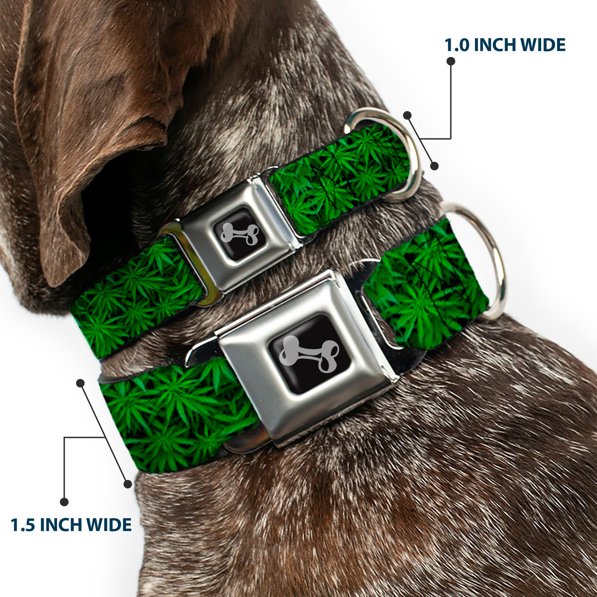 Buckle-Down Seatbelt Buckle Dog Collar - Vivid Marijuana Leaves Stacked Seatbelt Buckle Collars Buckle-Down