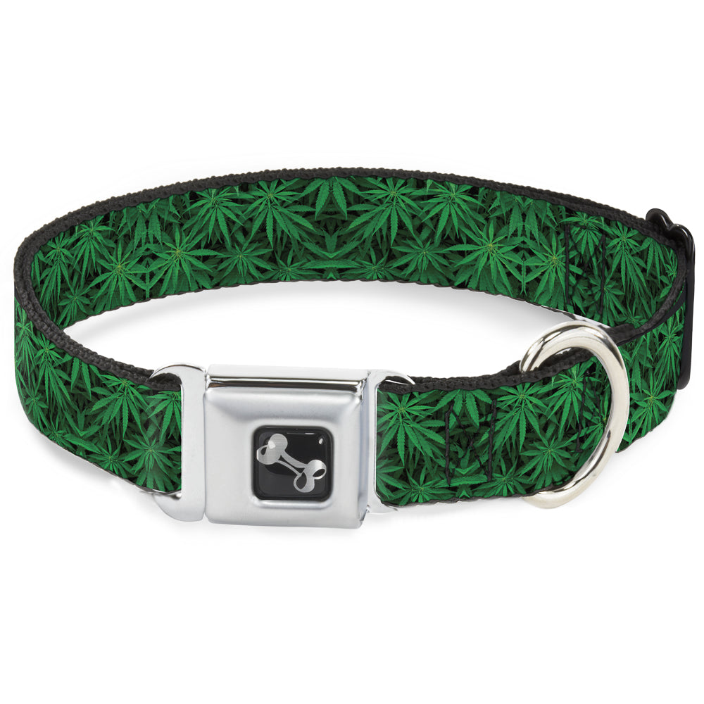 Buckle-Down Seatbelt Buckle Dog Collar - Vivid Marijuana Leaves Stacked Seatbelt Buckle Collars Buckle-Down