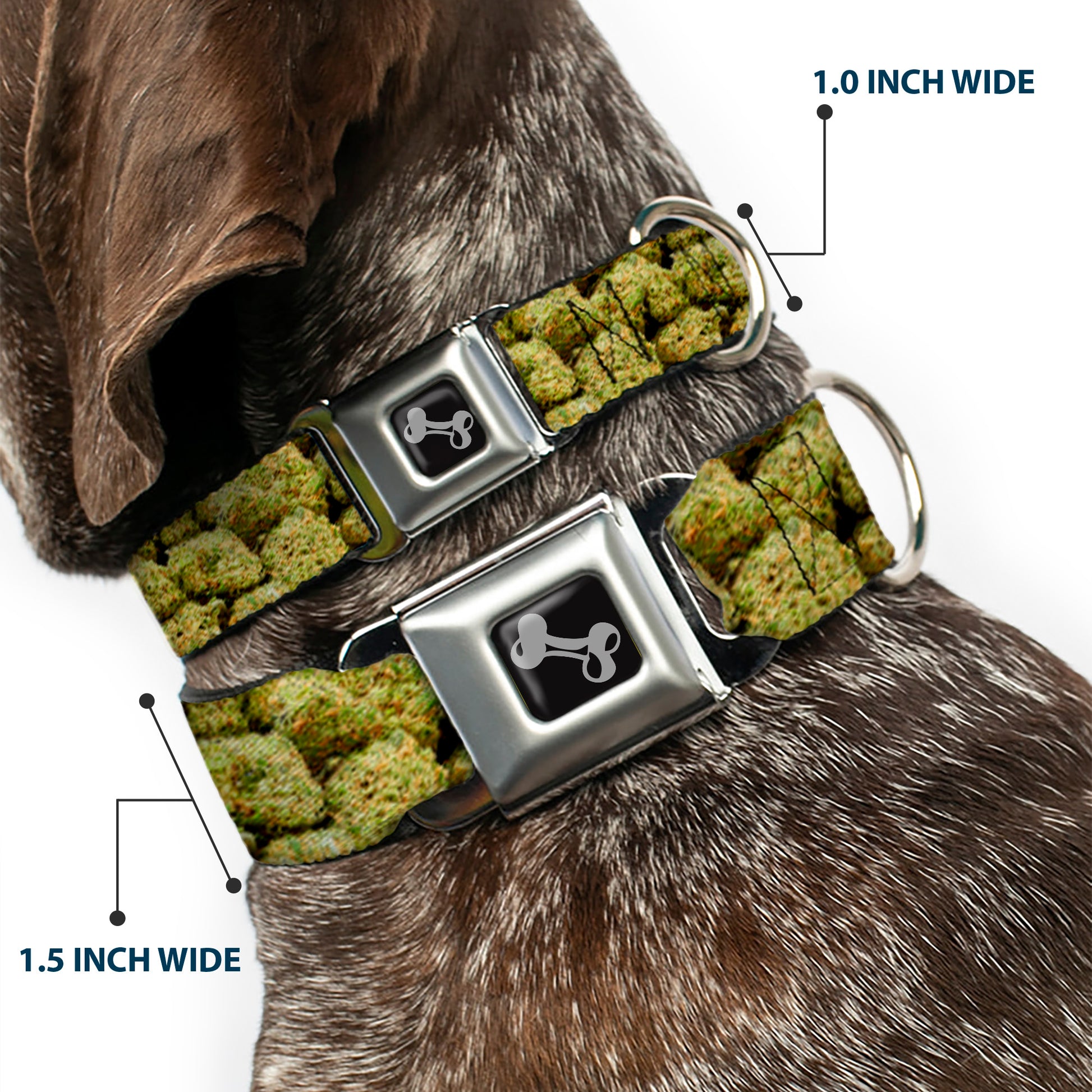 Buckle-Down Seatbelt Buckle Dog Collar - Vivid Marijuana Nugs2 Stacked Seatbelt Buckle Collars Buckle-Down