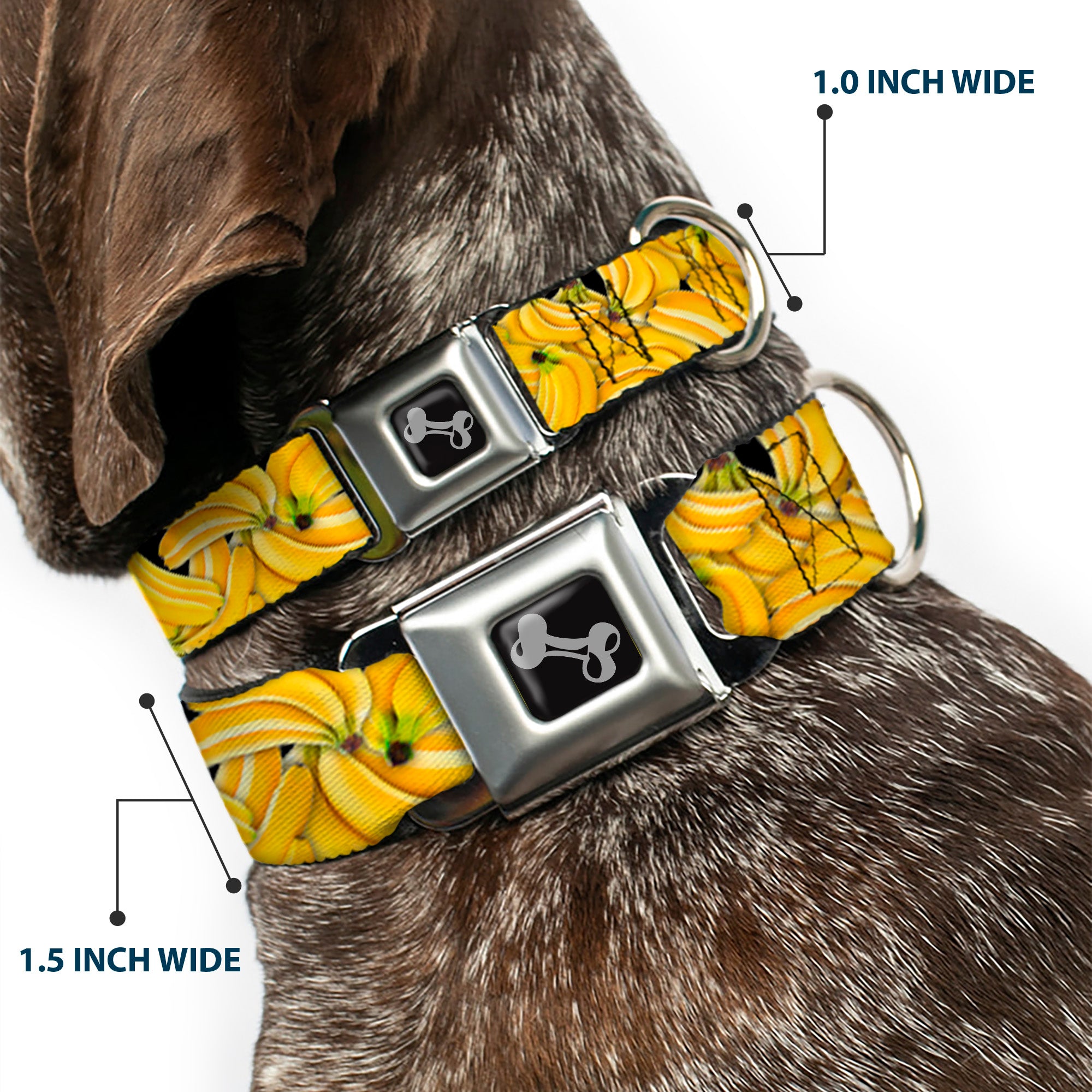Dog Bone Seatbelt Buckle Collar - Vivid Banana Bunches Stacked Seatbelt Buckle Collars Buckle-Down