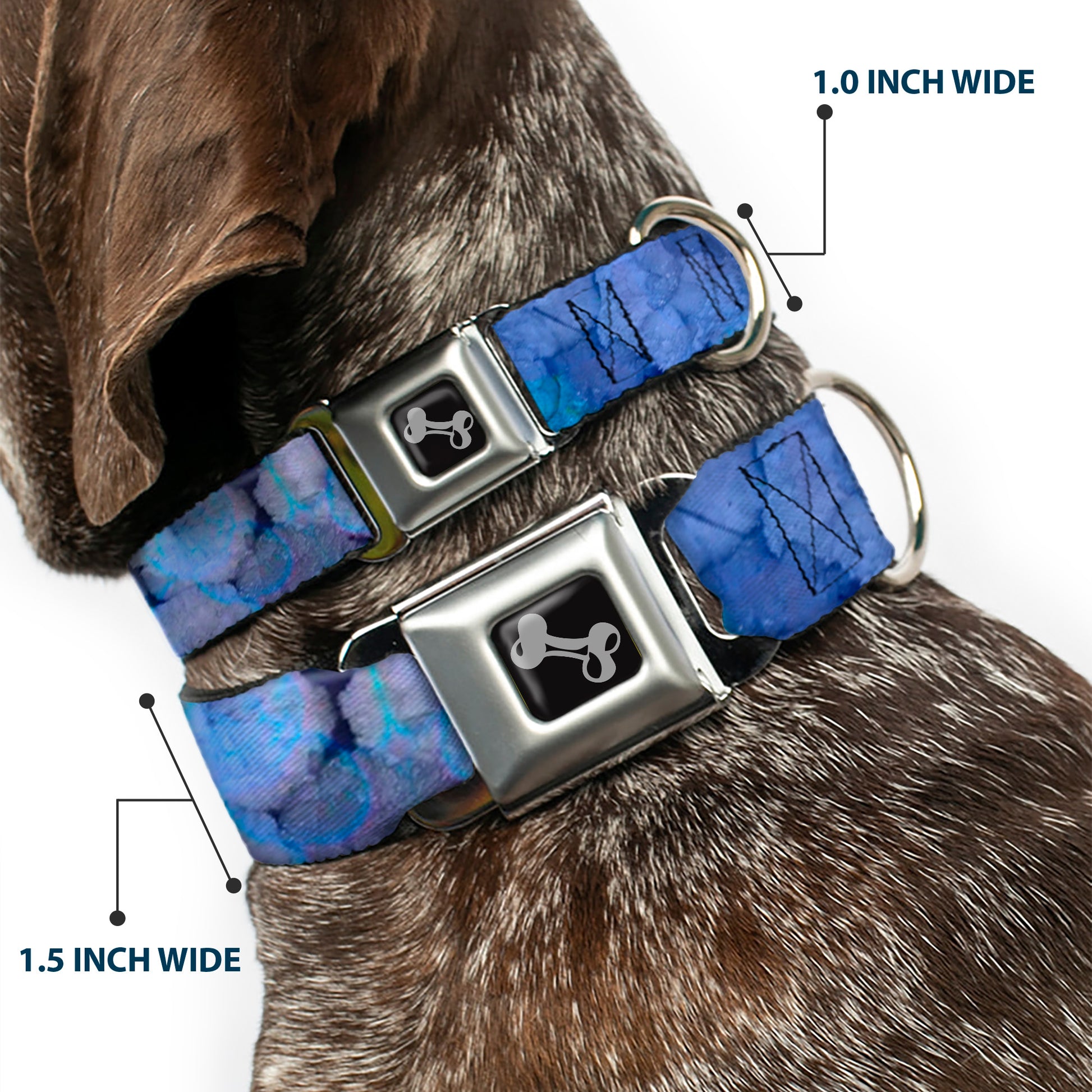 Dog Bone Seatbelt Buckle Collar - Vivid Floral Collage3 Blues/Purples Seatbelt Buckle Collars Buckle-Down