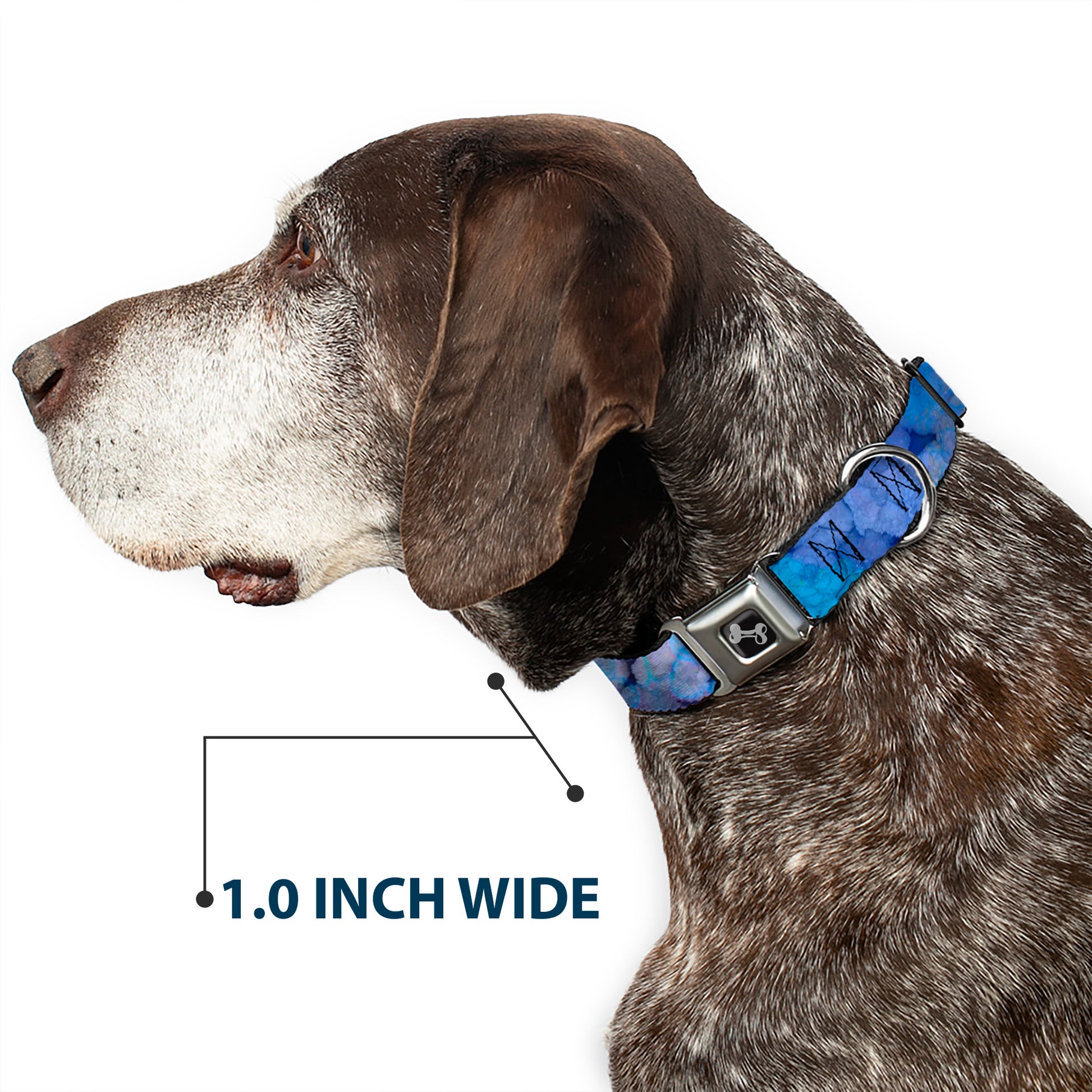 Dog Bone Seatbelt Buckle Collar - Vivid Floral Collage3 Blues/Purples Seatbelt Buckle Collars Buckle-Down
