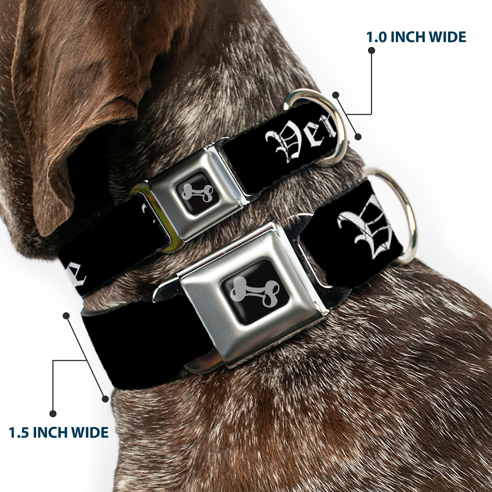 Dog Bone Seatbelt Buckle Collar - VENICE Old English Black/White Seatbelt Buckle Collars Buckle-Down