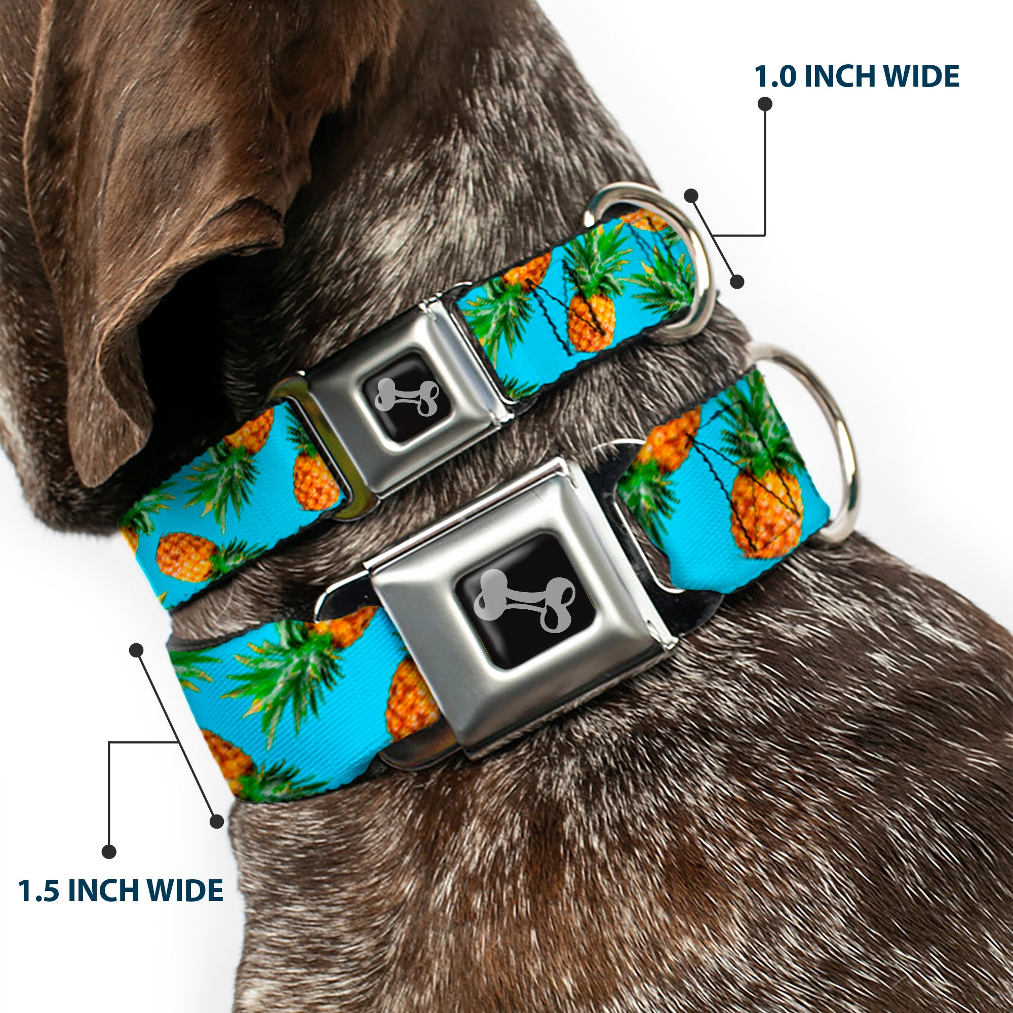 Dog Bone Seatbelt Buckle Collar - Vivid Pineapples Scattered Blue Seatbelt Buckle Collars Buckle-Down