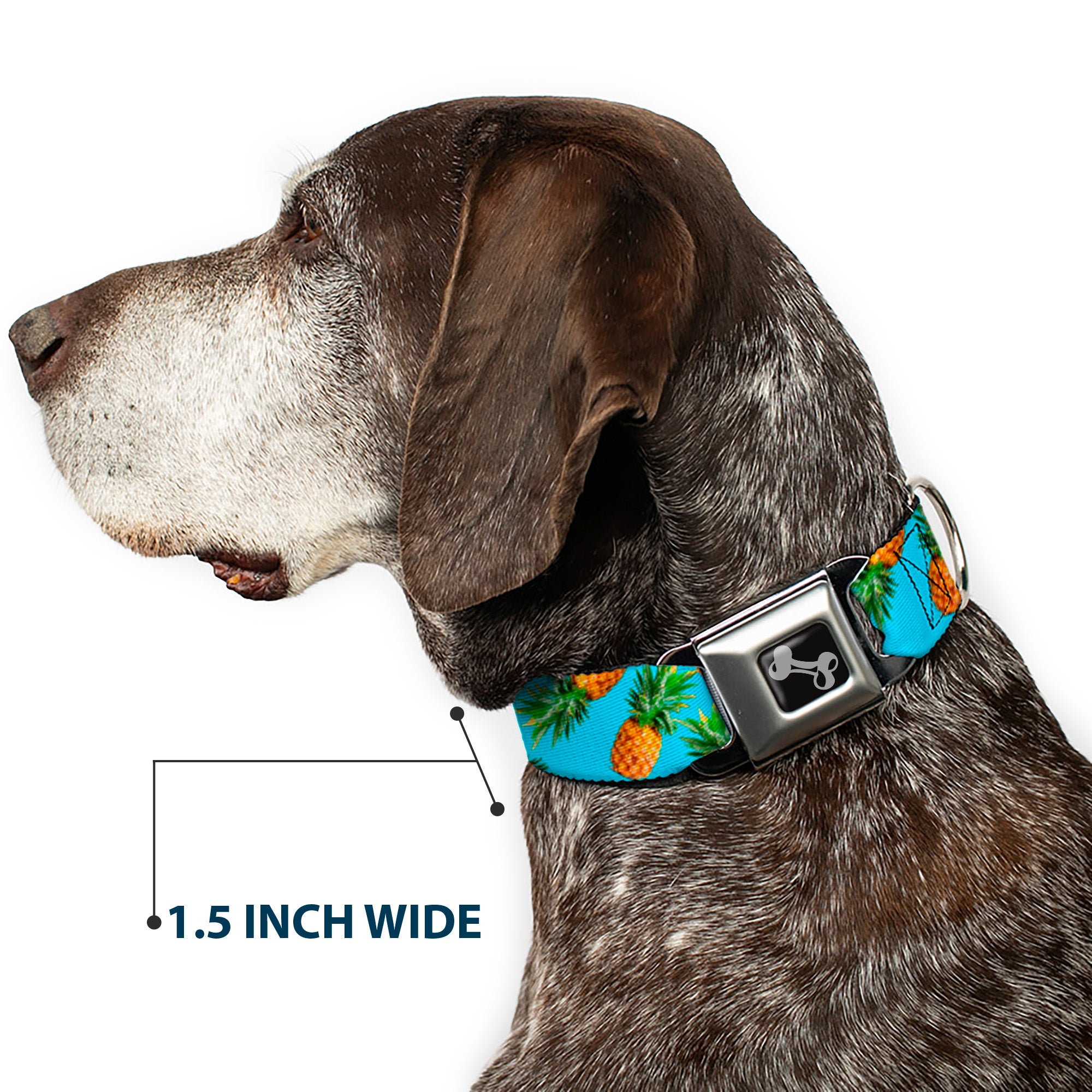 Dog Bone Seatbelt Buckle Collar - Vivid Pineapples Scattered Blue Seatbelt Buckle Collars Buckle-Down