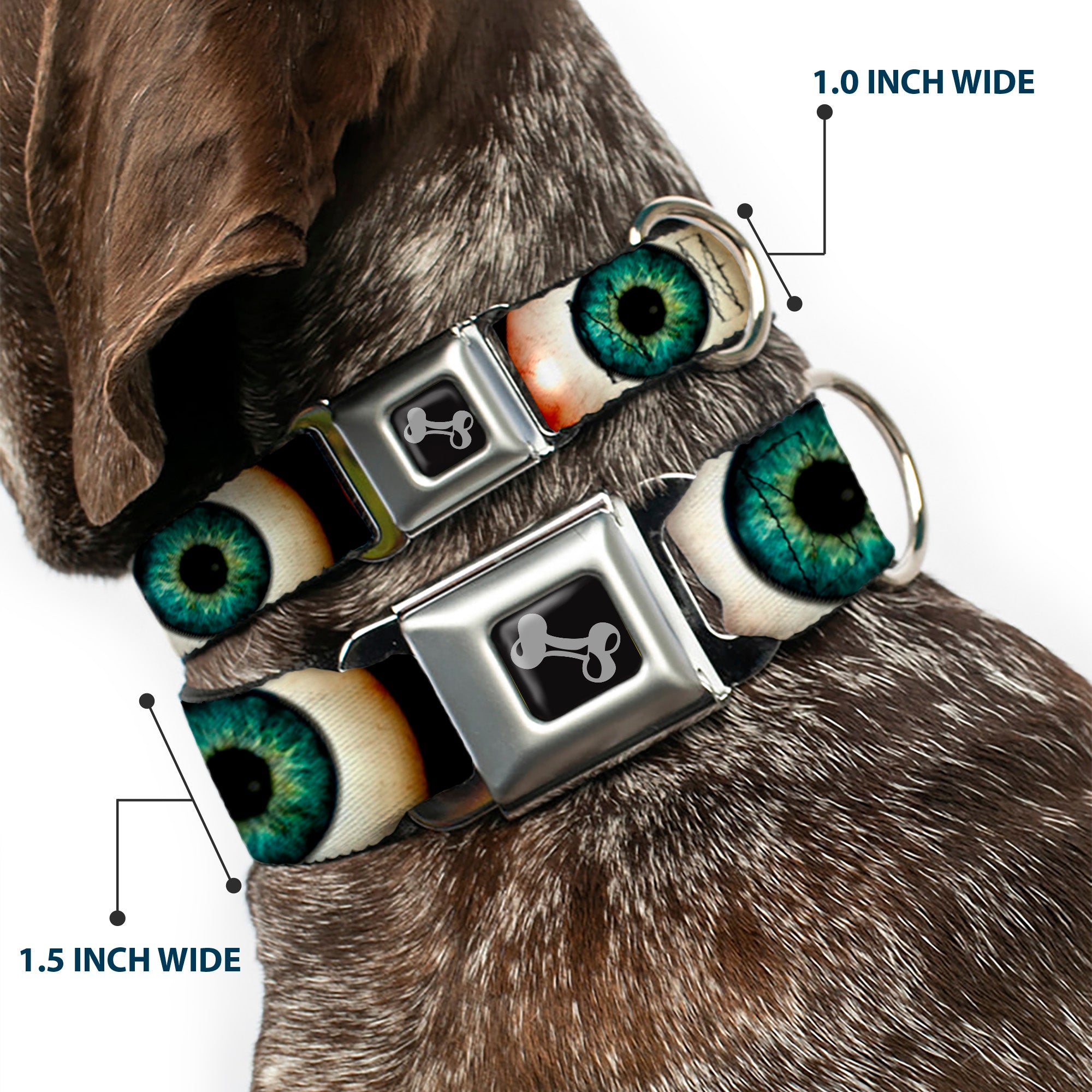 Dog Bone Seatbelt Buckle Collar - Vivid Blue Eyeball Black Seatbelt Buckle Collars Buckle-Down