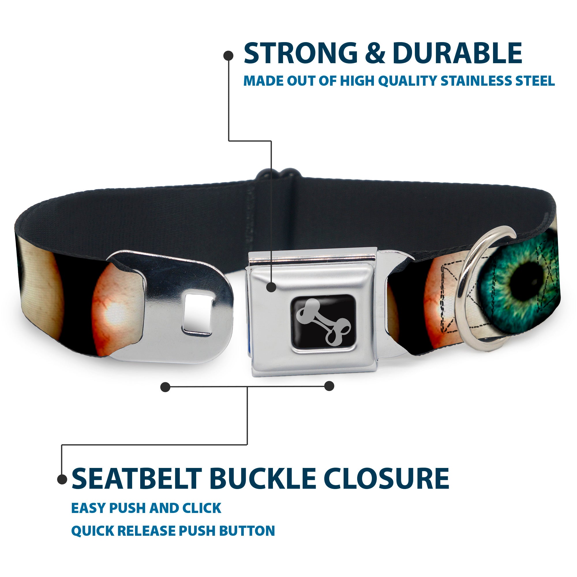 Dog Bone Seatbelt Buckle Collar - Vivid Blue Eyeball Black Seatbelt Buckle Collars Buckle-Down