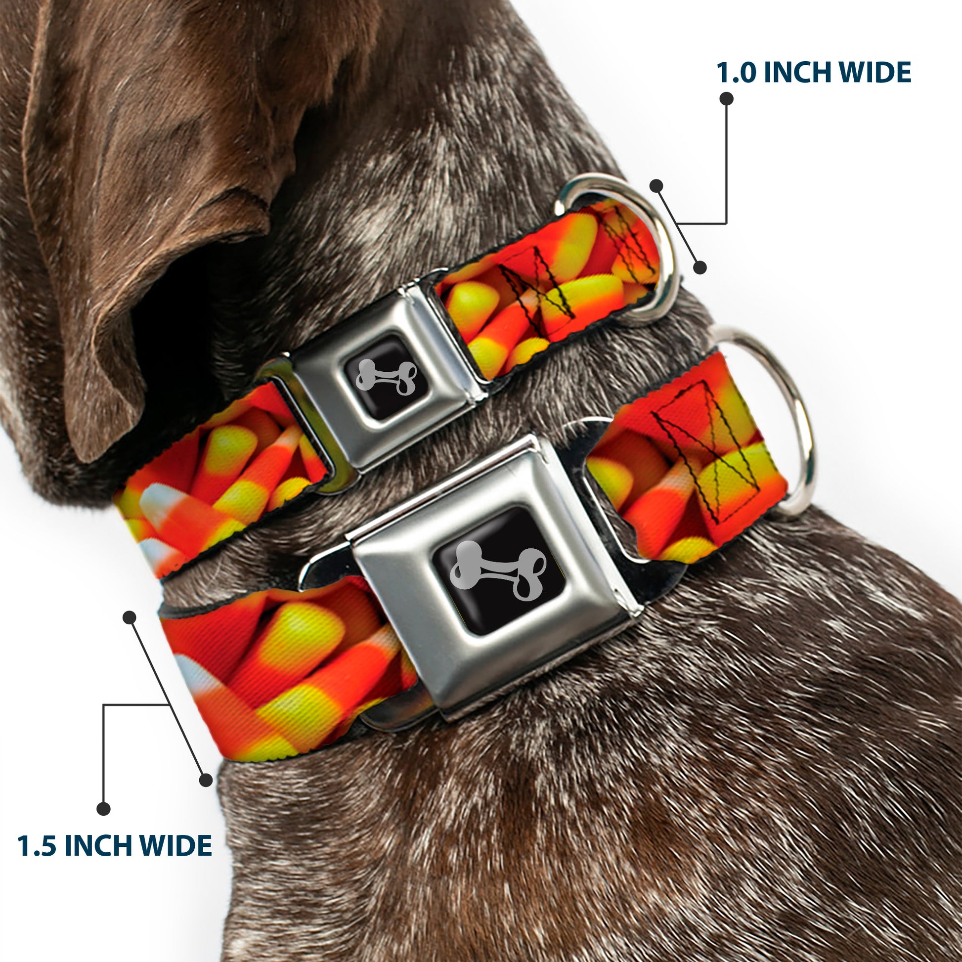 Dog Bone Black/Silver Seatbelt Buckle Collar - Vivid Candy Corn Stacked Seatbelt Buckle Collars Buckle-Down