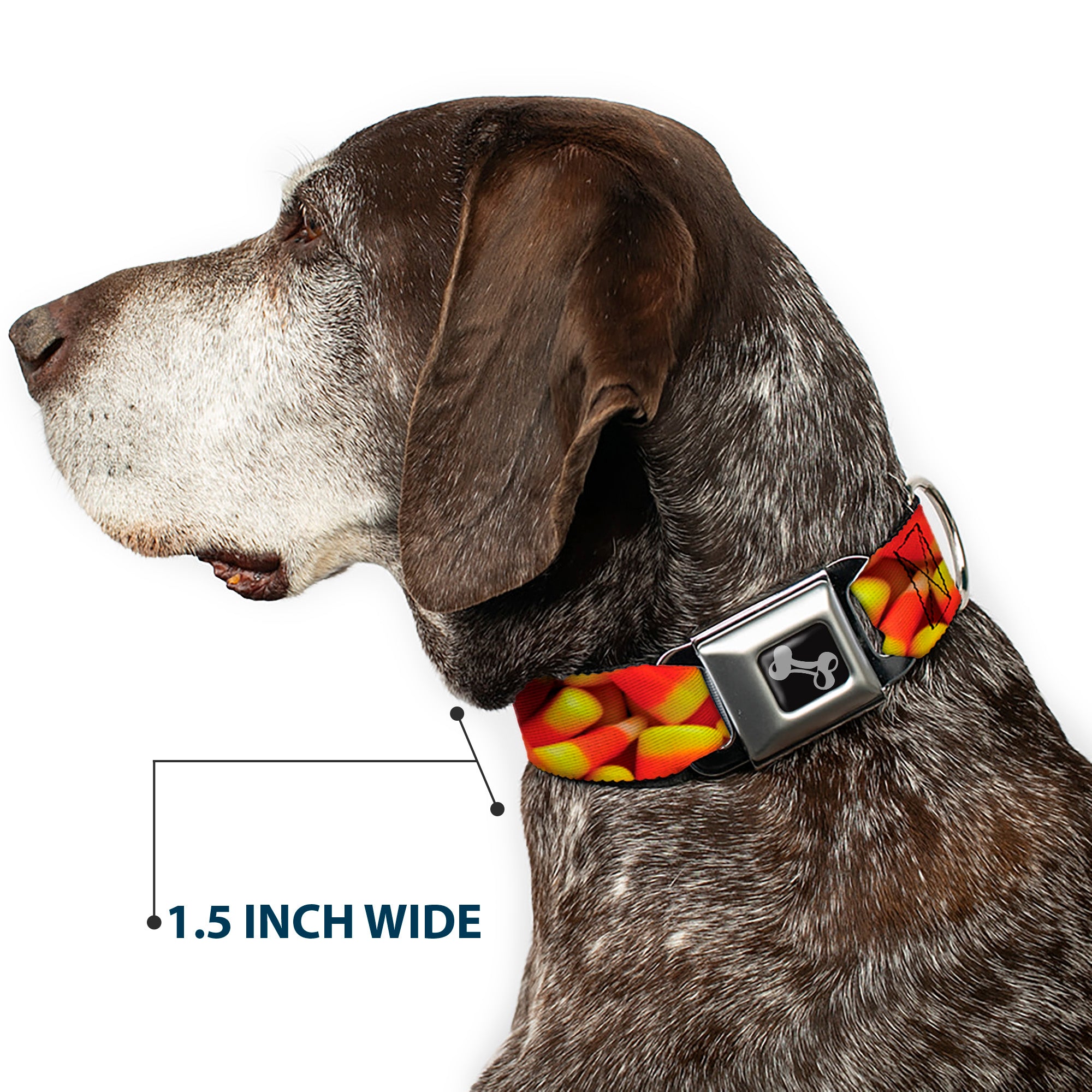 Dog Bone Black/Silver Seatbelt Buckle Collar - Vivid Candy Corn Stacked Seatbelt Buckle Collars Buckle-Down
