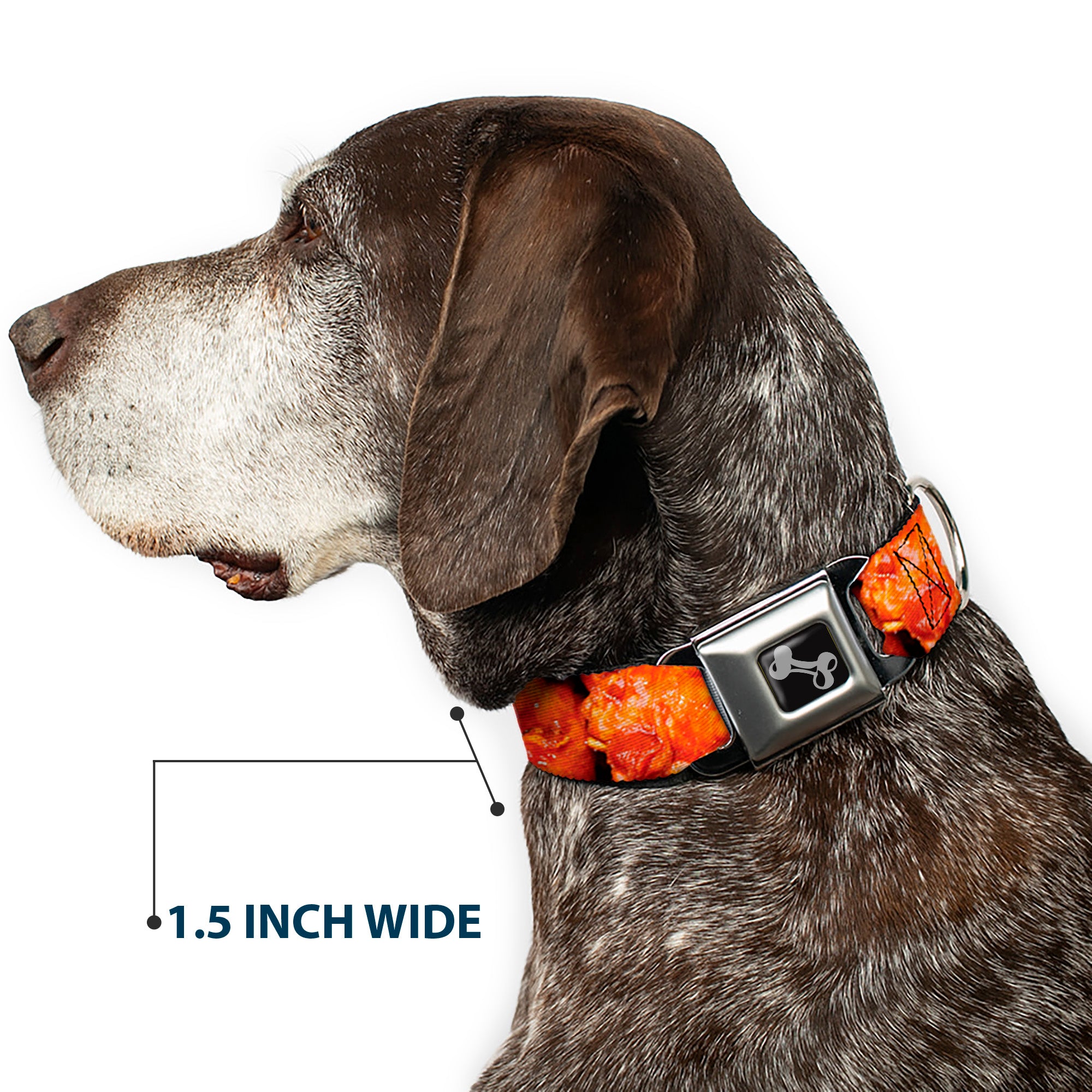 Dog Bone Black/Silver Seatbelt Buckle Collar - Vivid Hot Wings Stacked Seatbelt Buckle Collars Buckle-Down