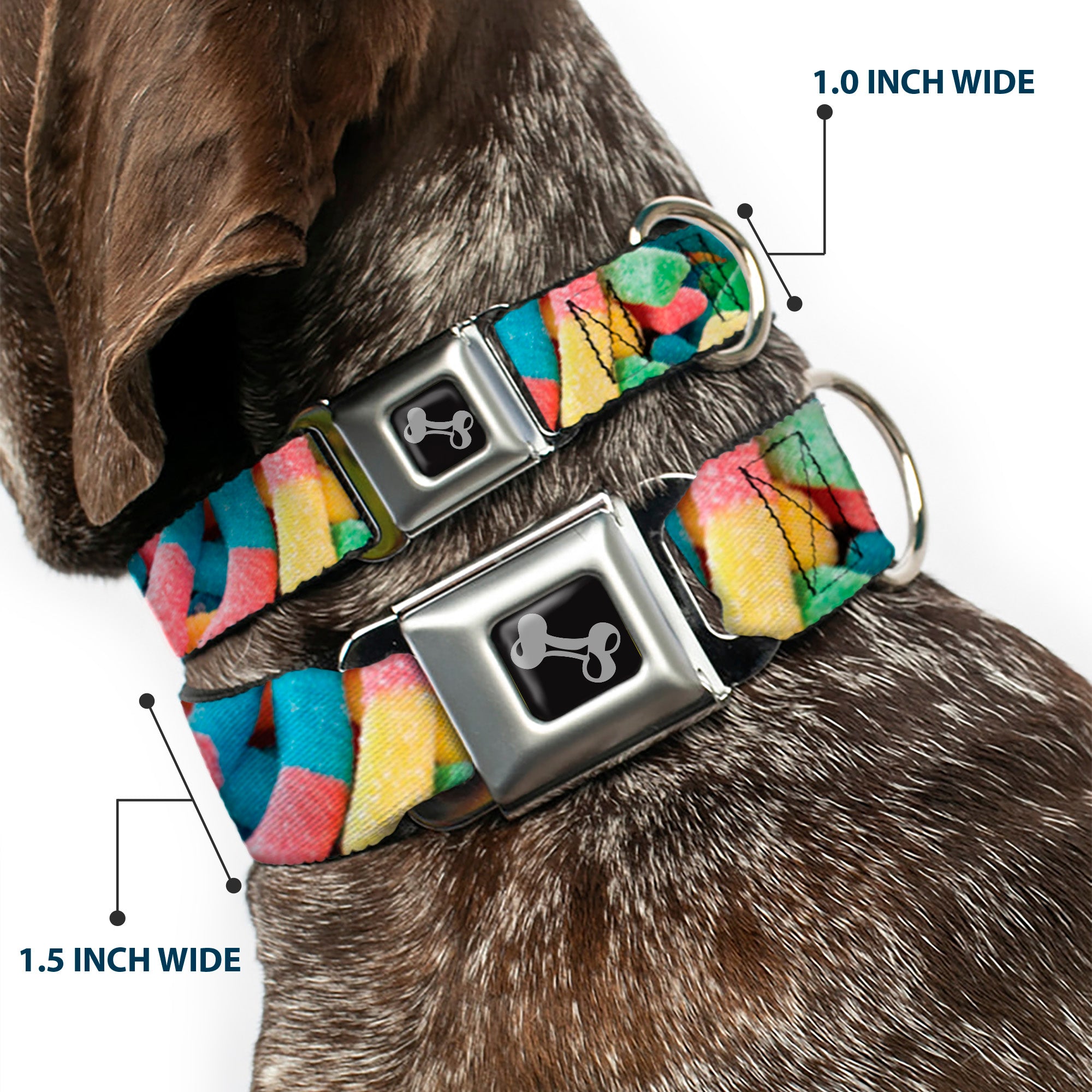 Dog Bone Black/Silver Seatbelt Buckle Collar - Vivid Sour Worms Stacked Seatbelt Buckle Collars Buckle-Down