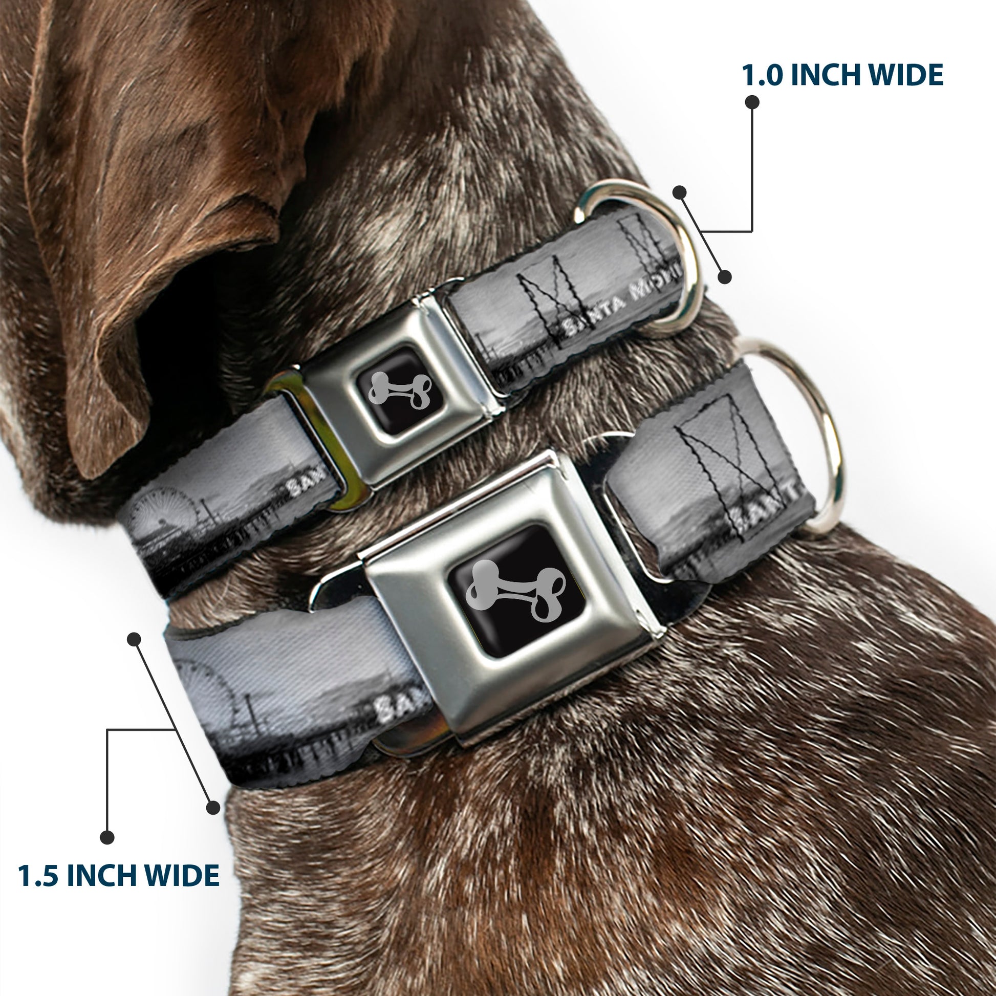 Dog Bone Seatbelt Buckle Collar - Vivid SANTA MONICA Pier Skyline Grays/White Seatbelt Buckle Collars Buckle-Down