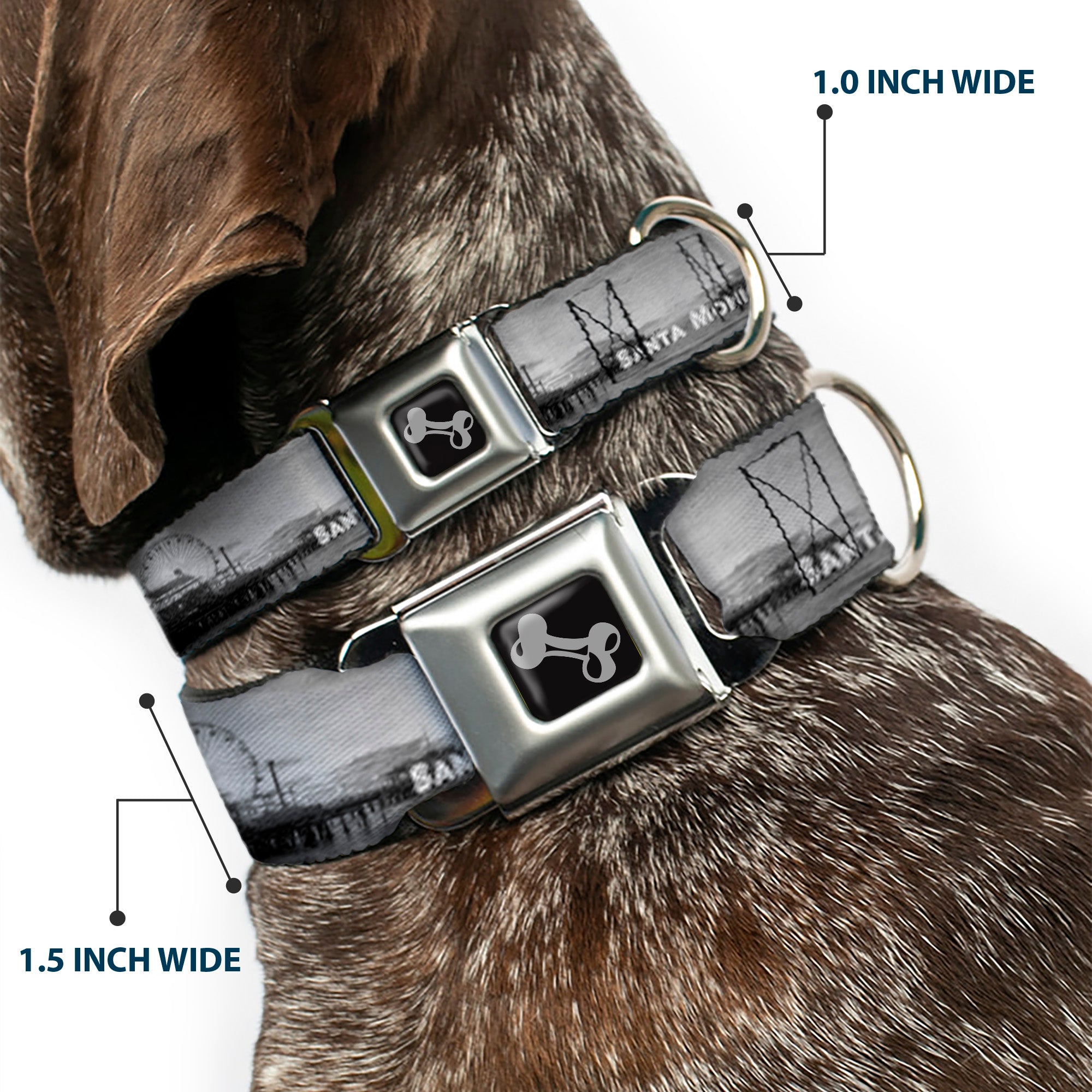 Dog Bone Seatbelt Buckle Collar - Vivid SANTA MONICA Pier Skyline Grays/White Seatbelt Buckle Collars Buckle-Down