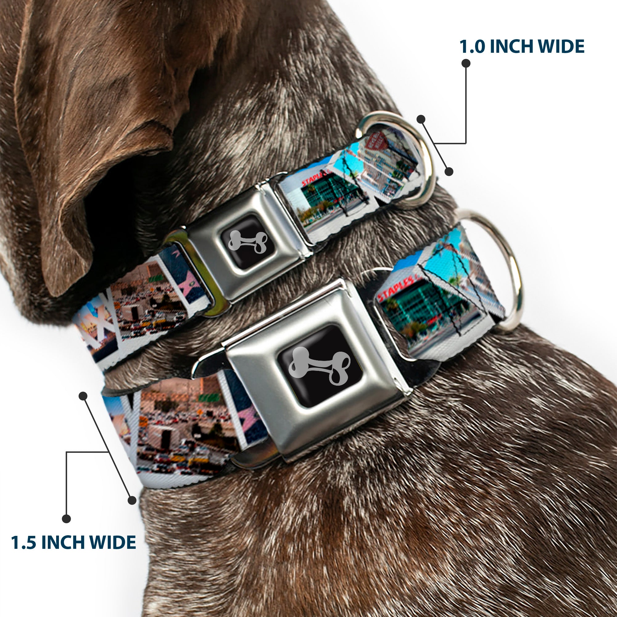 Dog Bone Seatbelt Buckle Collar - Vivid Los Angeles Snapshots Stacked Seatbelt Buckle Collars Buckle-Down
