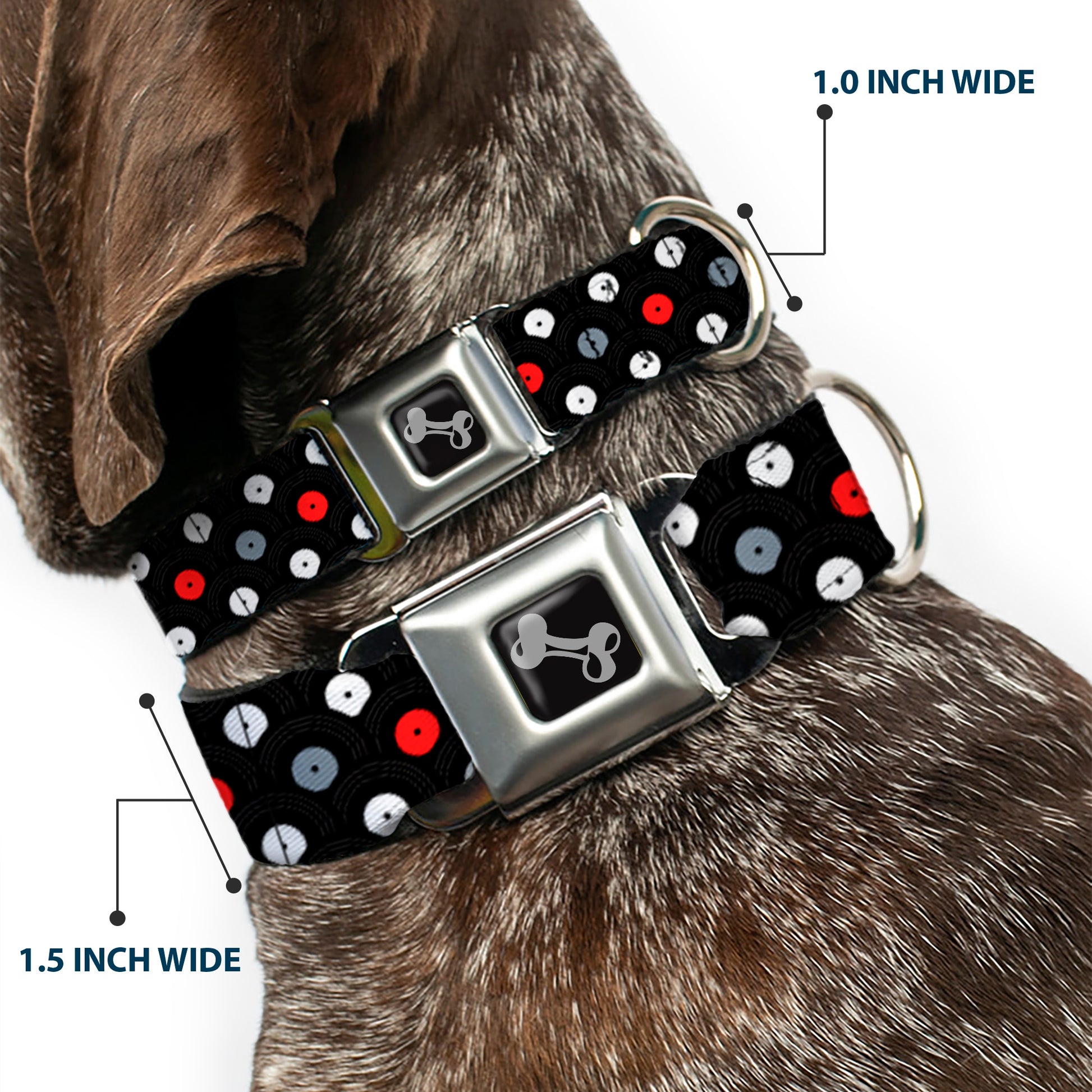 Dog Bone Seatbelt Buckle Collar - Vinyl Records Stacked Black/Gray/Red/White Seatbelt Buckle Collars Buckle-Down