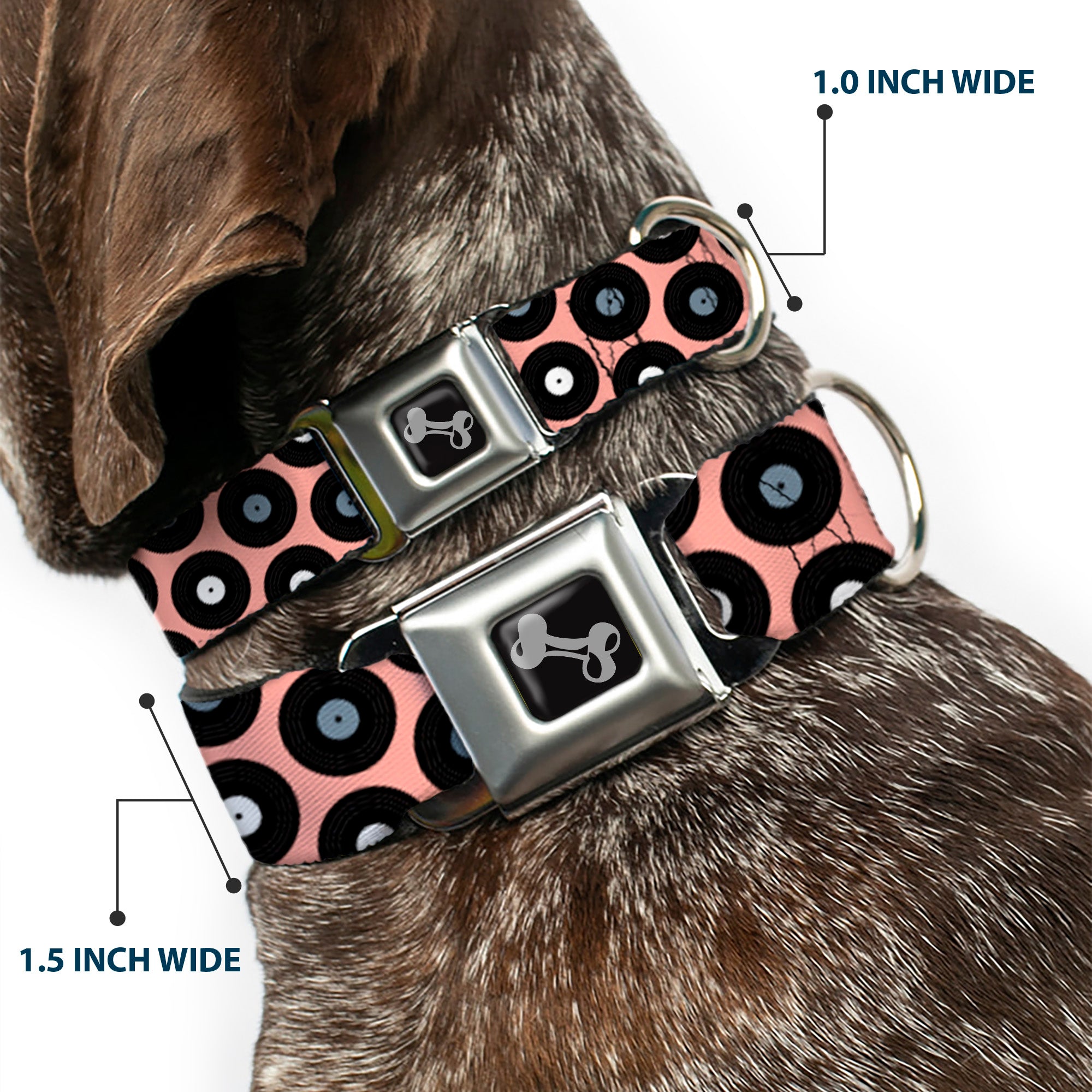 Dog Bone Seatbelt Buckle Collar - Vinyl Records Tan/Black/Gray/White Seatbelt Buckle Collars Buckle-Down