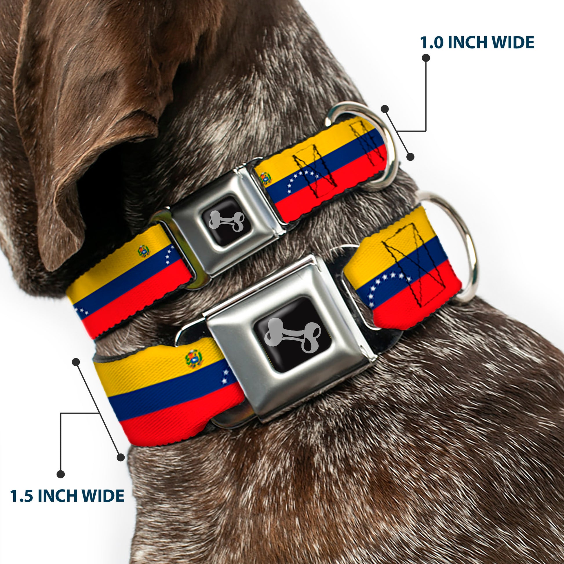 Dog Bone Black/Silver Seatbelt Buckle Collar - Venezuela Flag Continious Repeat Seatbelt Buckle Collars Buckle-Down