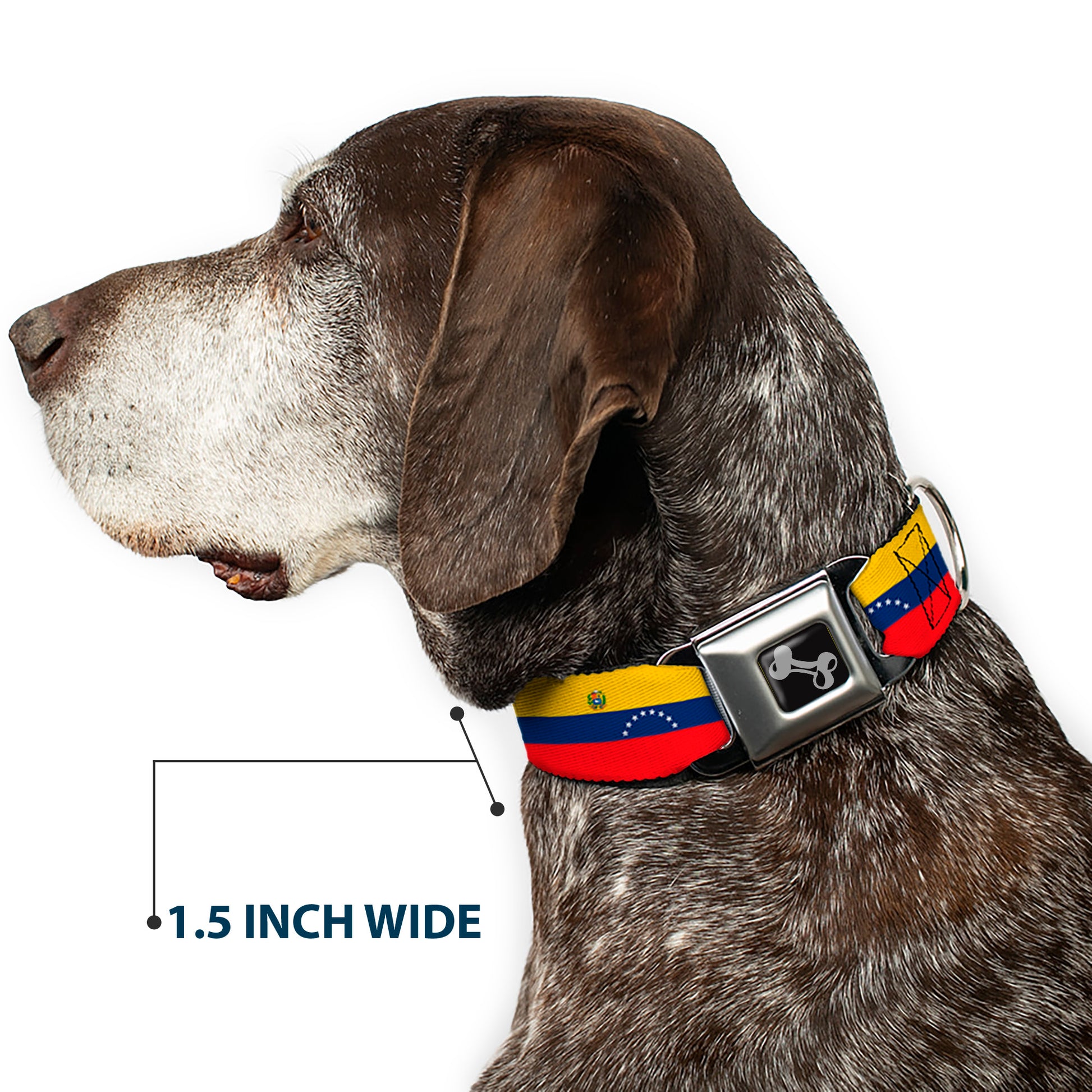 Dog Bone Black/Silver Seatbelt Buckle Collar - Venezuela Flag Continious Repeat Seatbelt Buckle Collars Buckle-Down
