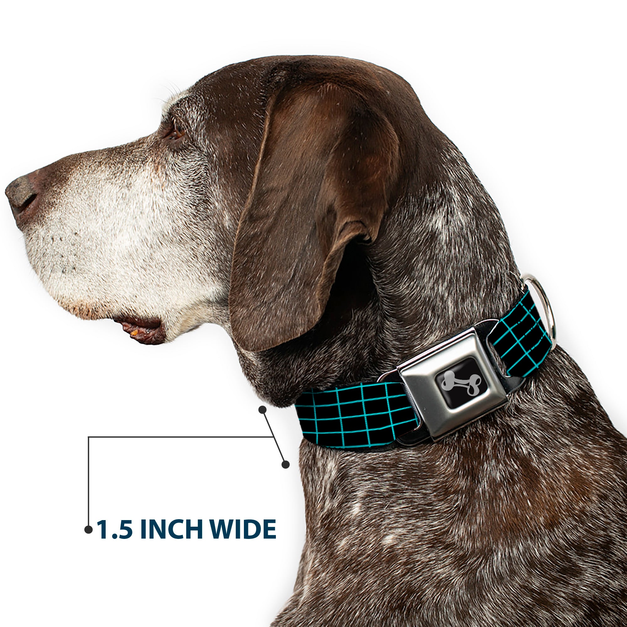 Dog Bone Seatbelt Buckle Collar - Wire Grid Black/Blue Seatbelt Buckle Collars Buckle-Down