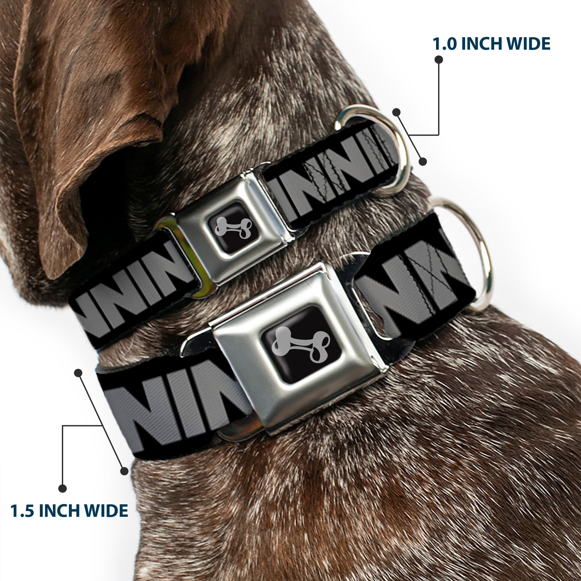 Dog Bone Seatbelt Buckle Collar - WINNING! Black/Gray Seatbelt Buckle Collars Buckle-Down