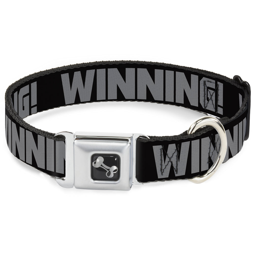 Dog Bone Seatbelt Buckle Collar - WINNING! Black/Gray Seatbelt Buckle Collars Buckle-Down