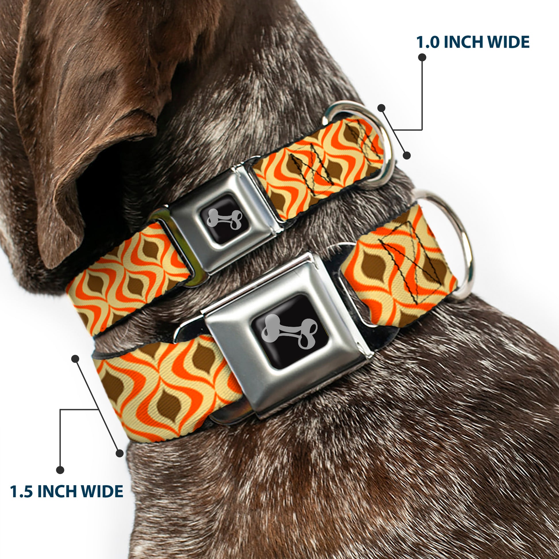 Dog Bone Seatbelt Buckle Collar - Wallpaper1 Ogee Tan/Orange/Brown Seatbelt Buckle Collars Buckle-Down