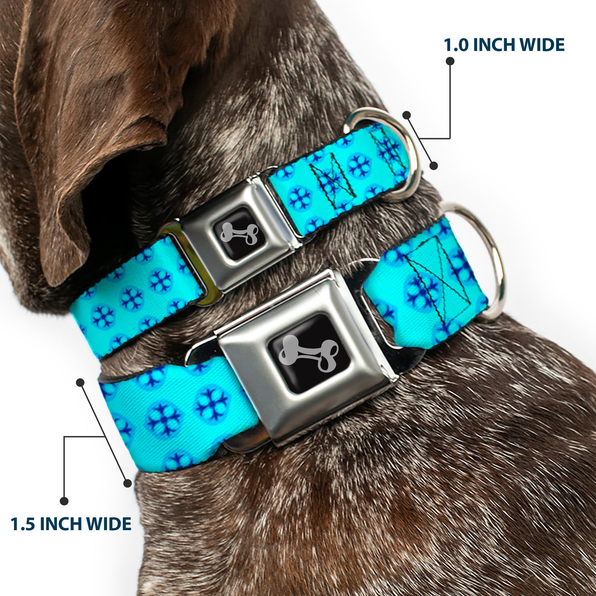 Dog Bone Seatbelt Buckle Collar - Wallpaper2 Baby Blue/Blue Seatbelt Buckle Collars Buckle-Down