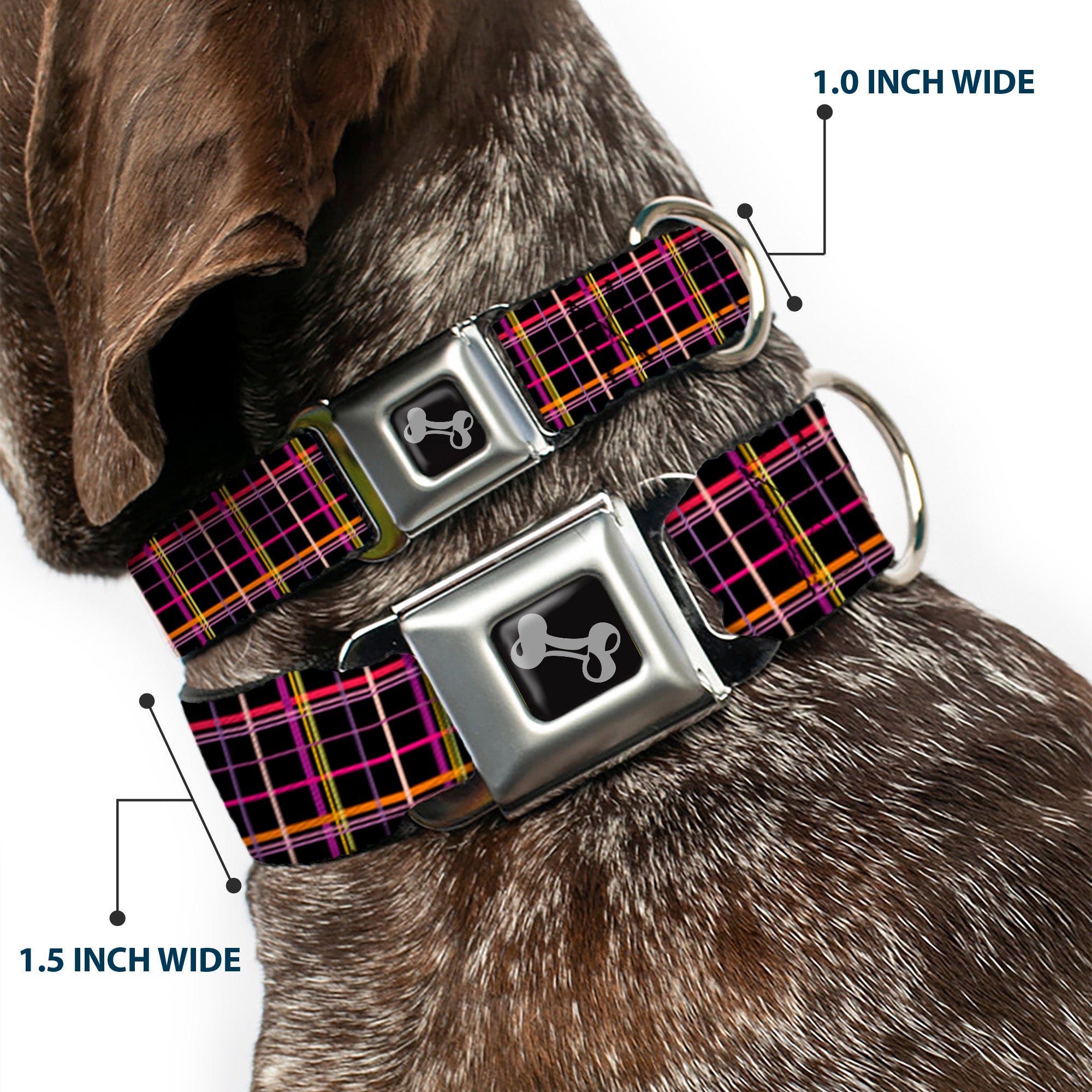 Dog Bone Seatbelt Buckle Collar - Wire Grid Black/Orange/Purple Seatbelt Buckle Collars Buckle-Down