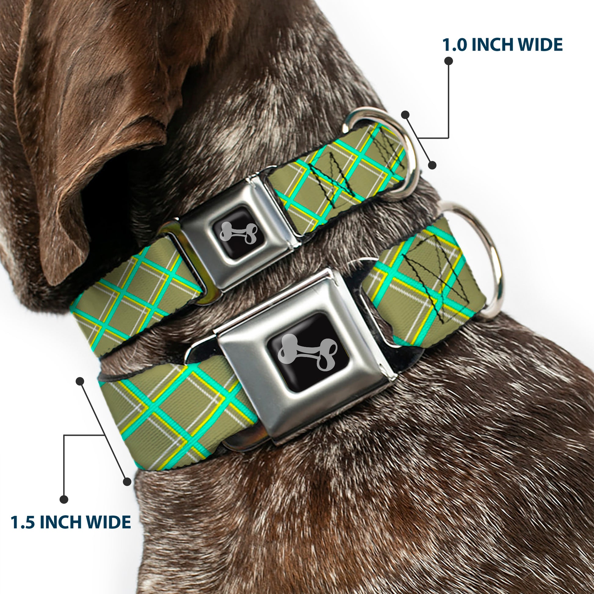 Dog Bone Seatbelt Buckle Collar - Wire Grid Tan/Green/Yellow Seatbelt Buckle Collars Buckle-Down