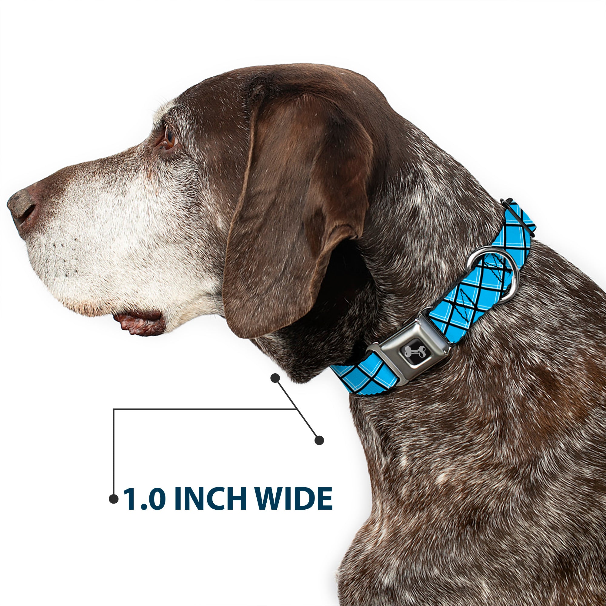 Dog Bone Seatbelt Buckle Collar - Wire Grid Baby Blue Black/White Seatbelt Buckle Collars Buckle-Down