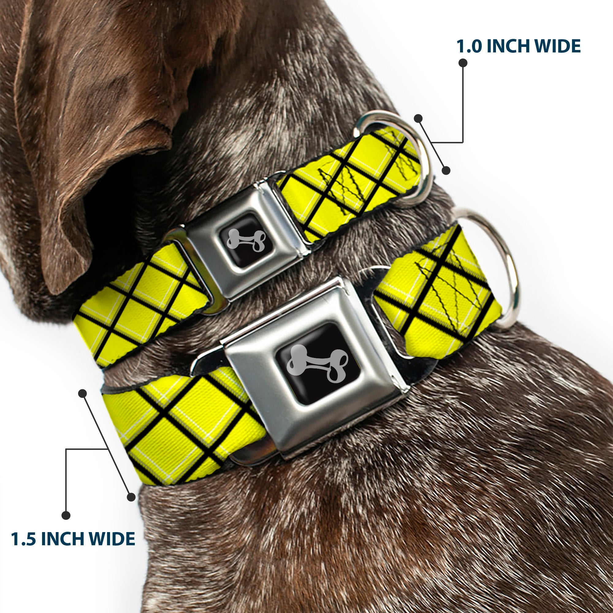 Dog Bone Seatbelt Buckle Collar - Wire Grid Yellow/Black/Gray Seatbelt Buckle Collars Buckle-Down