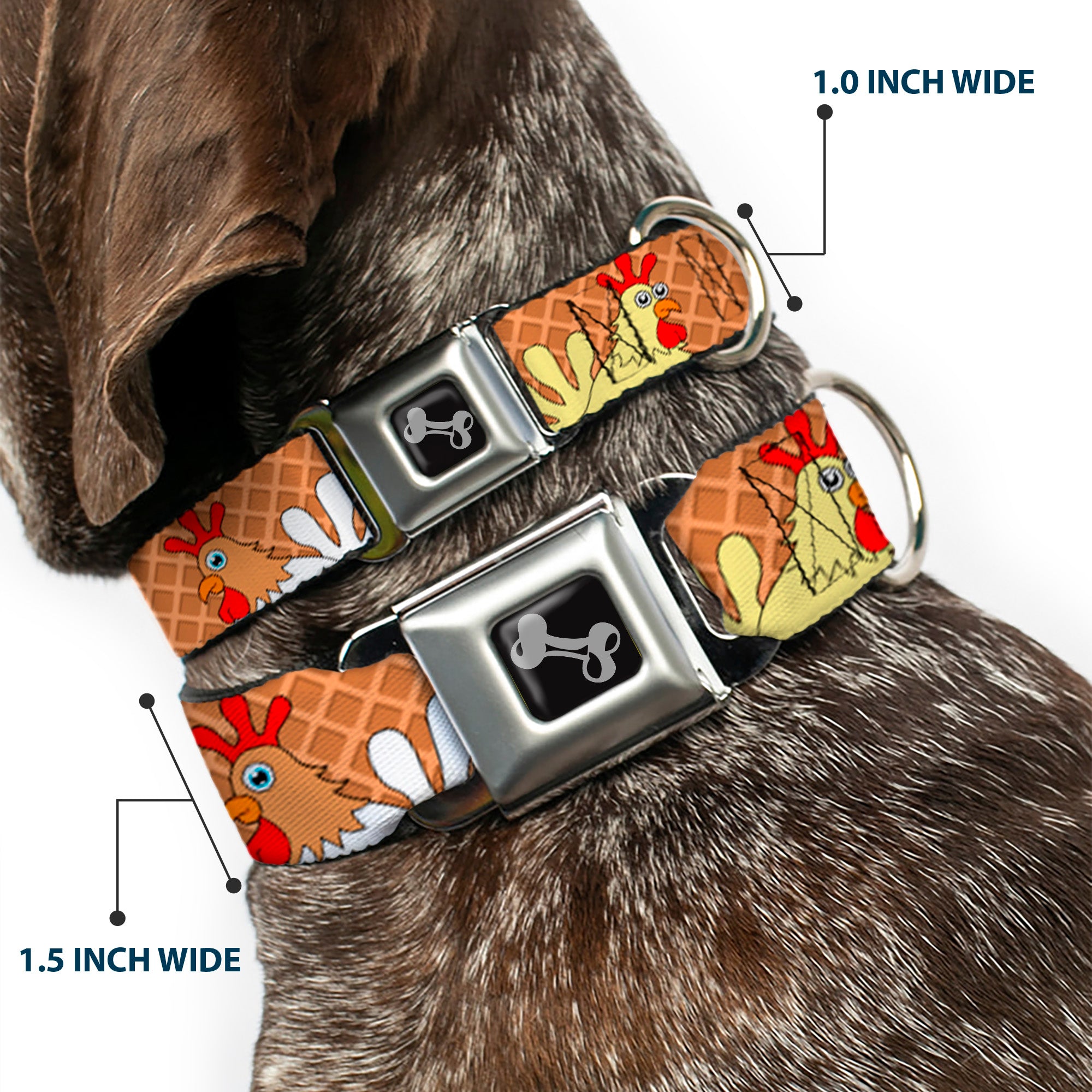Dog Bone Seatbelt Buckle Collar - Waffle/Chicken Poses Seatbelt Buckle Collars Buckle-Down