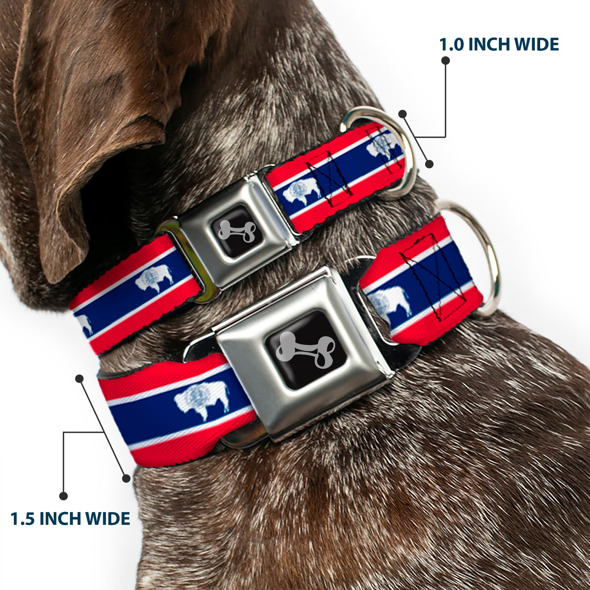 Dog Bone Seatbelt Buckle Collar - Wyoming Flags Seatbelt Buckle Collars Buckle-Down