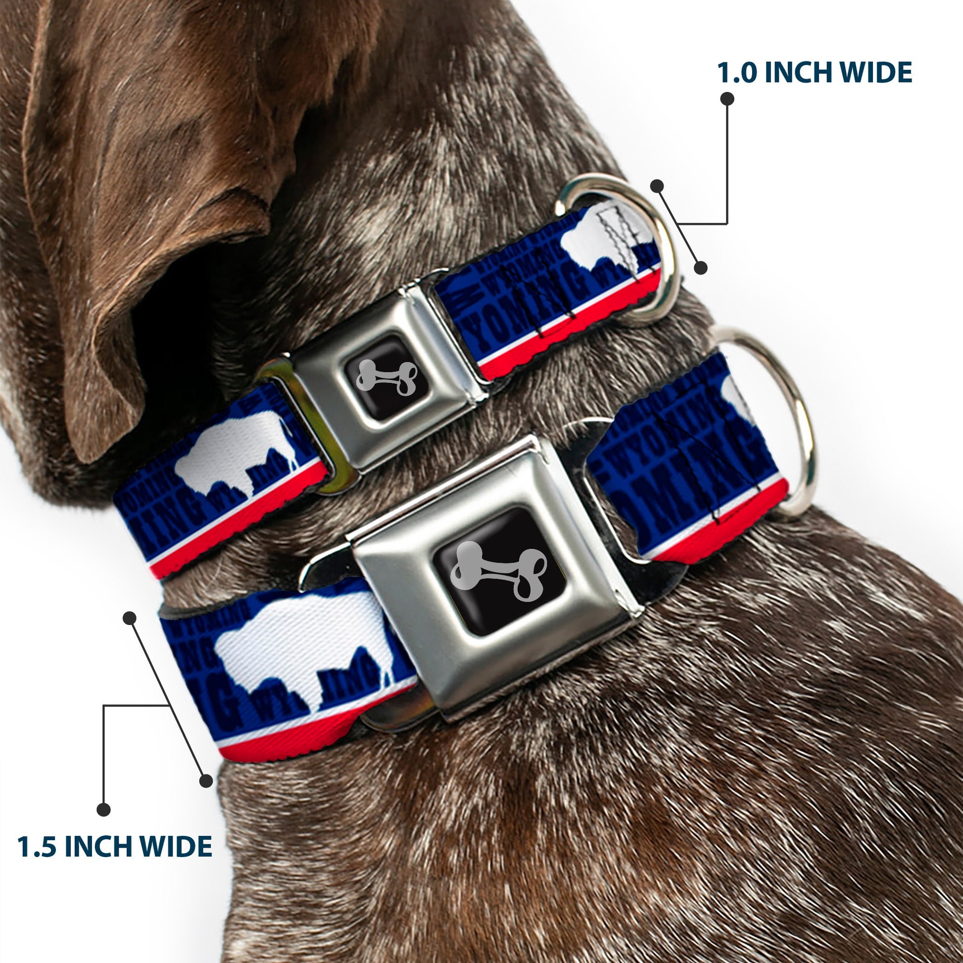 Dog Bone Seatbelt Buckle Collar - Wyoming Flags/WYOMING Typography Seatbelt Buckle Collars Buckle-Down