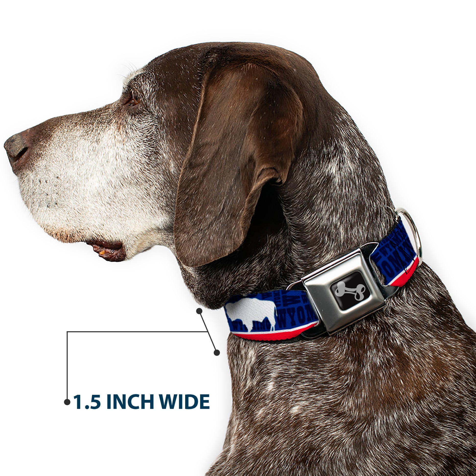 Dog Bone Seatbelt Buckle Collar - Wyoming Flags/WYOMING Typography Seatbelt Buckle Collars Buckle-Down