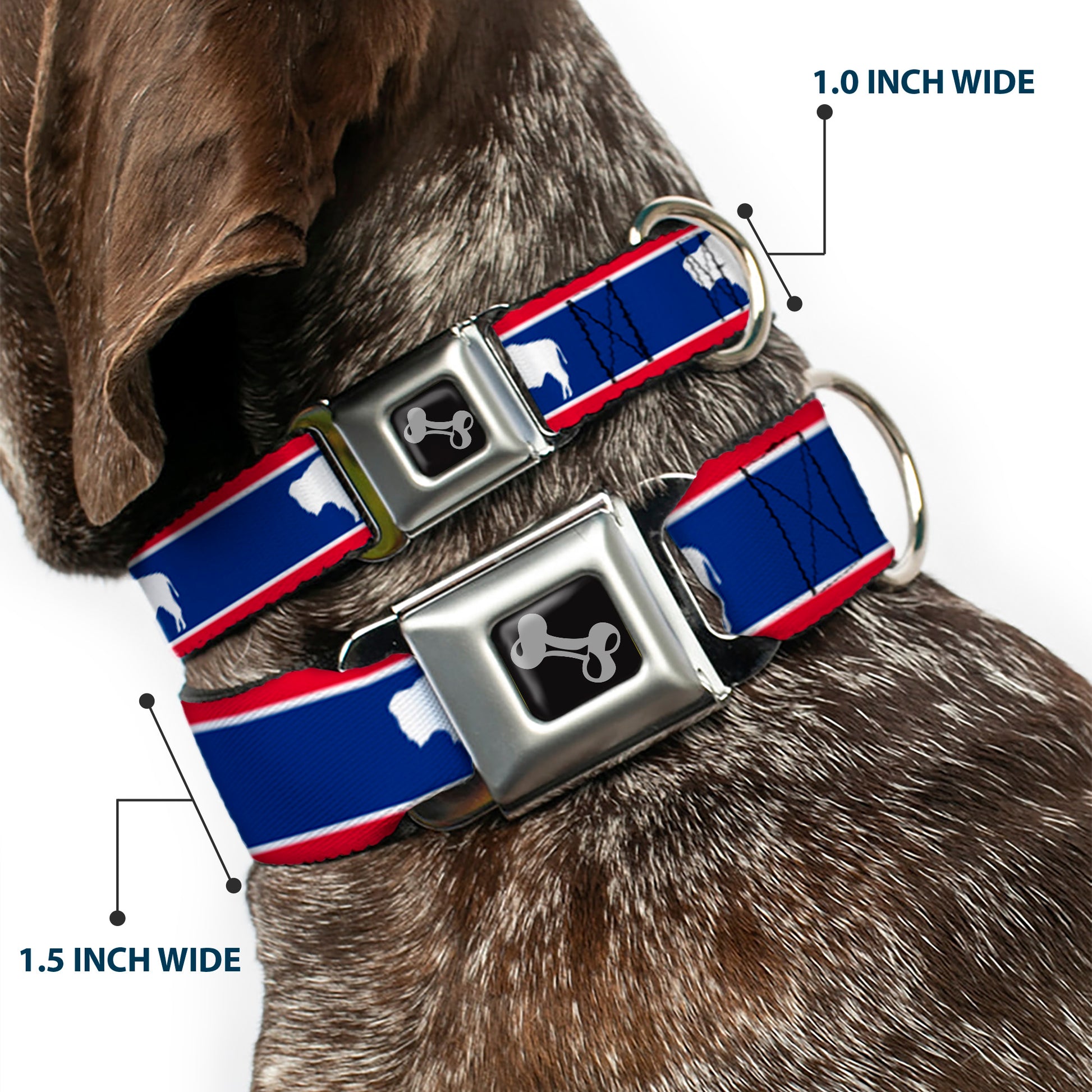 Dog Bone Seatbelt Buckle Collar - Wyoming Flags Bison Silhouette Seatbelt Buckle Collars Buckle-Down