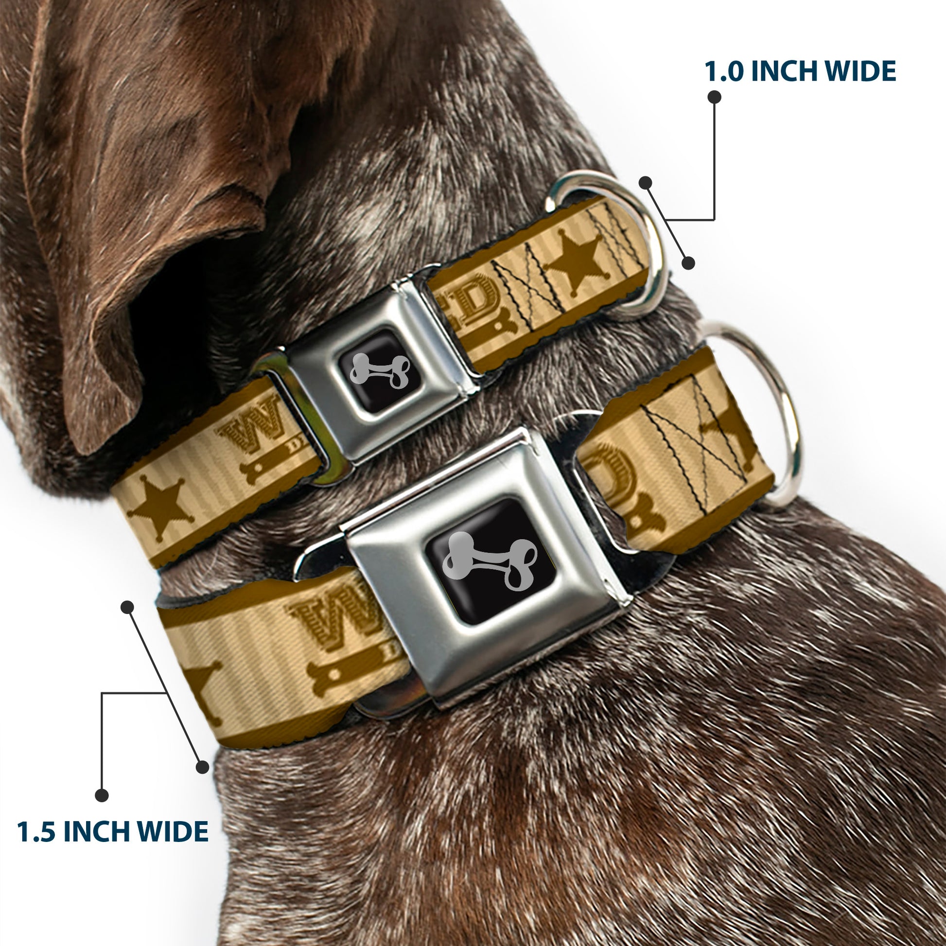 Dog Bone Seatbelt Buckle Collar - WANTED-DEAD OR ALIVE/Star Tans Seatbelt Buckle Collars Buckle-Down