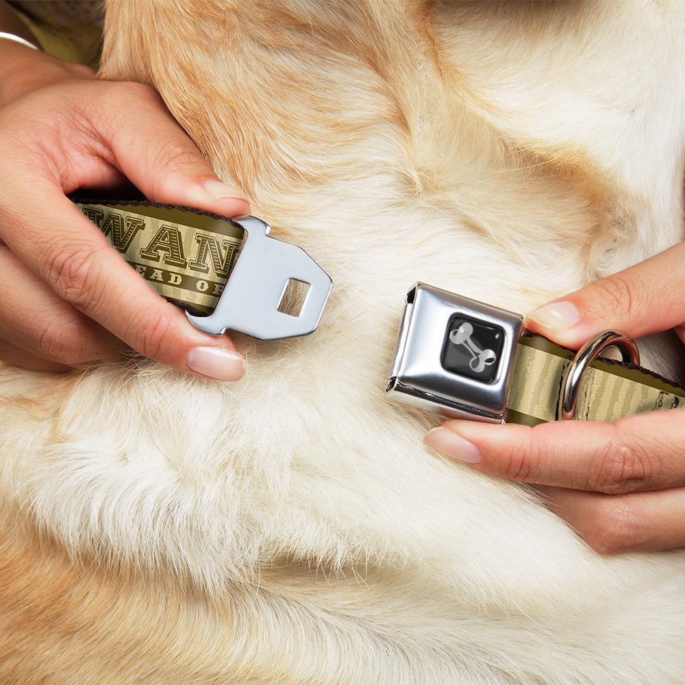 Dog Bone Seatbelt Buckle Collar - WANTED-DEAD OR ALIVE/Star Tans Seatbelt Buckle Collars Buckle-Down